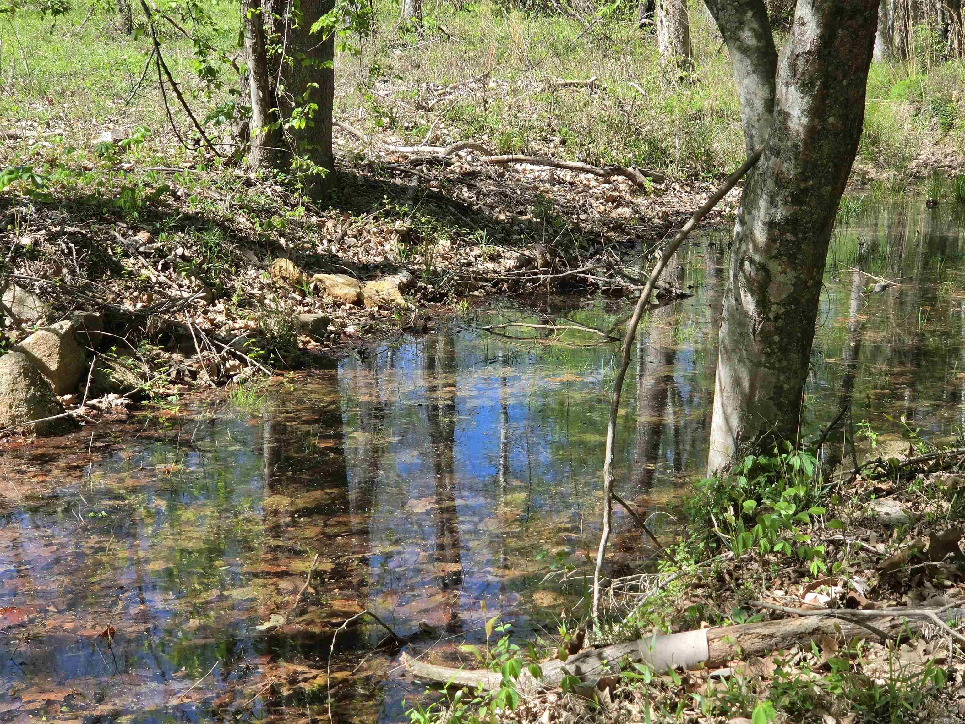 Metes & Bounds - Land