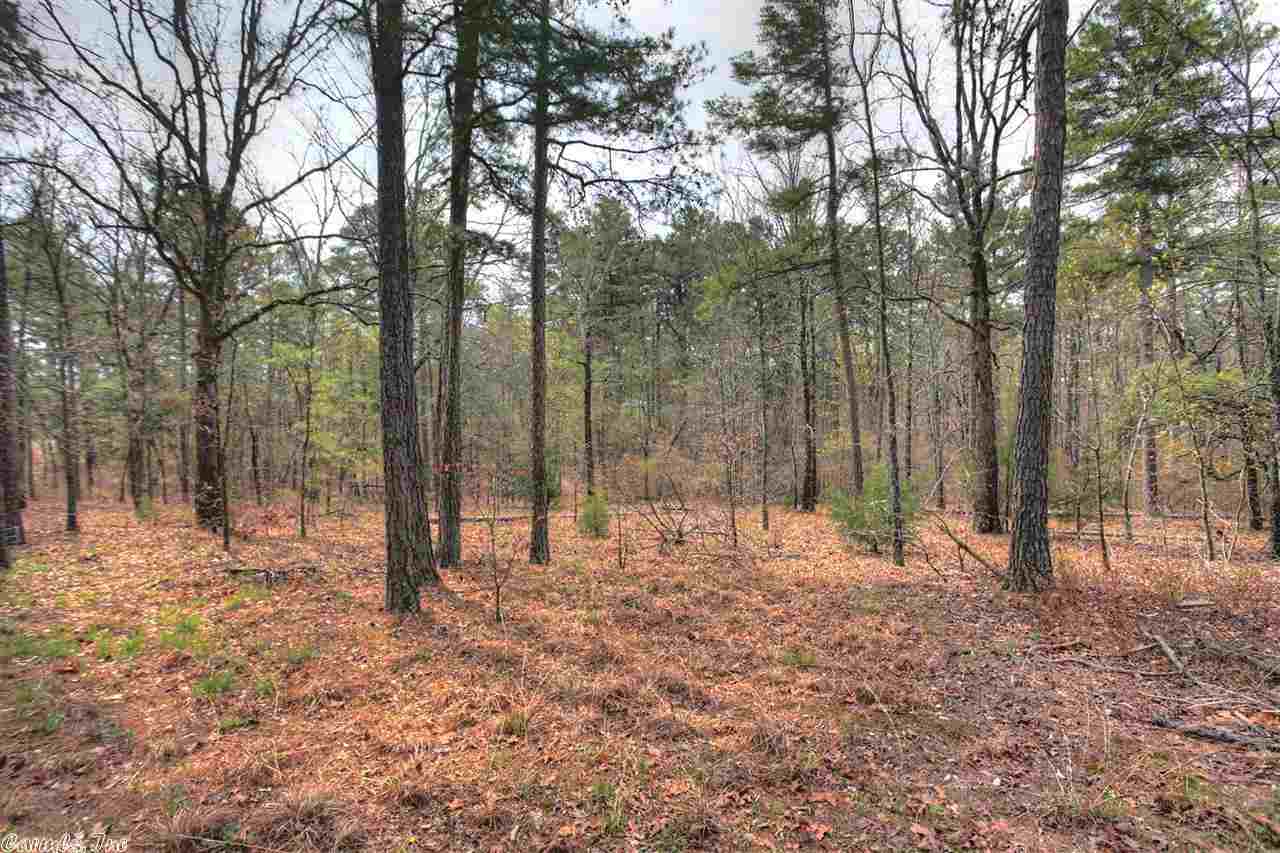 Pine Village - Residential