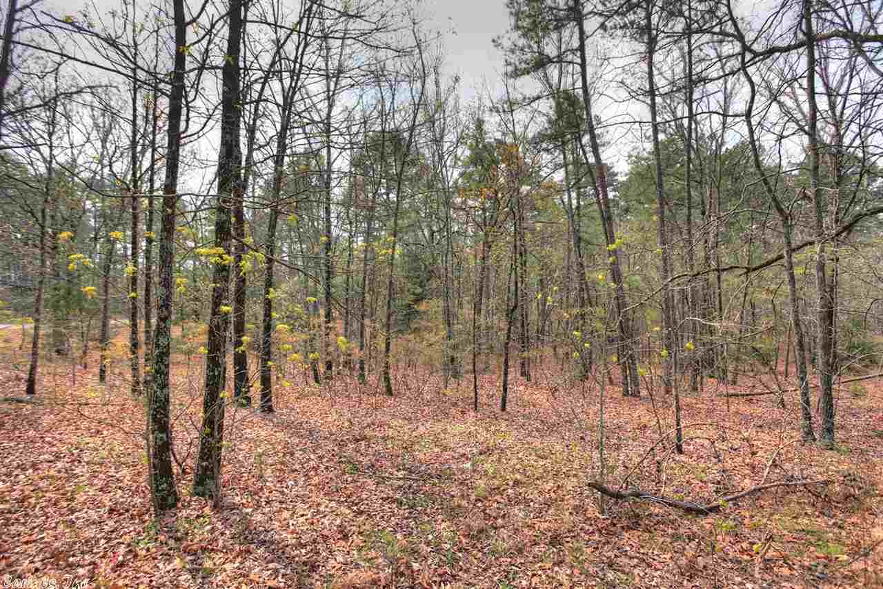 Pine Village - Residential