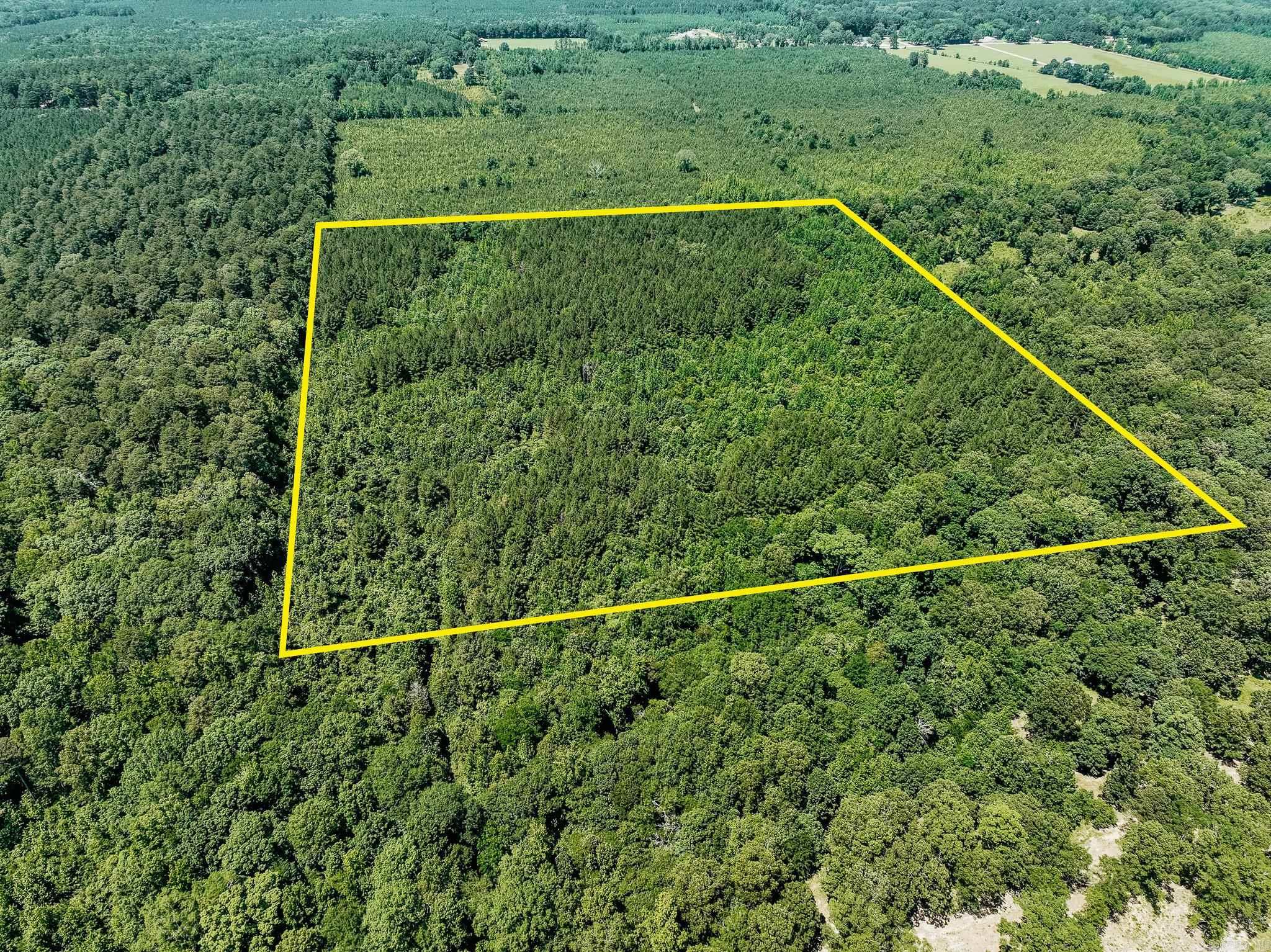 This 40-acre tract in Drew County, Arkansas offers a scenic blend of hardwoods and pine, making it an excellent opportunity for outdoor enthusiasts and land investors alike. A winding creek bottom cuts through the property, enhancing its natural beauty. The diverse timber stand provides great habitat for local wildlife, including deer and turkey, making it a prime spot for hunting and recreation. Just a short drive from Monticello, this property delivers the peace and privacy of the woods with the convenience of town nearby. Whether youāre looking to hunt, explore, or simply invest in quality timberland, this property checks all the boxes. Accessed via a recorded deeded easement, the property offers both seclusion and secure entry. With potential for future timber harvest or enhanced wildlife management, it presents an opportunity to create long term value while enjoying the land today.
