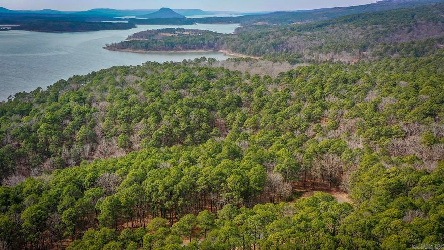 Just what the doctor ordered. Four lakeview/front tracts containing 3 m/l acres. Minimum restrictions and all utilities underground (will need to be perked), including fiber internet. Paved streets, secluded and private feel with all the pleasure's of LAKE LIFE. Don't miss out.