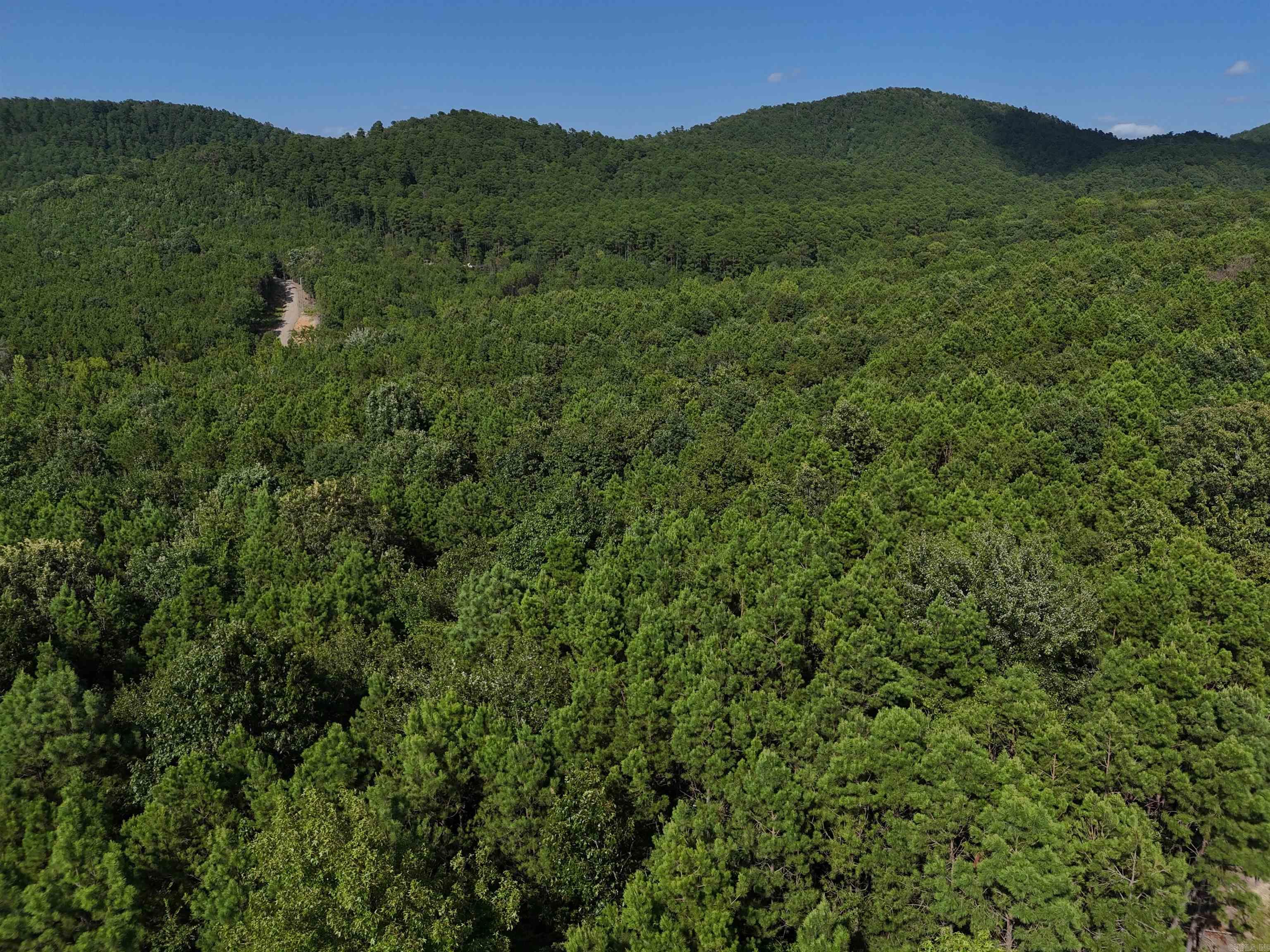 6.131 acres waiting for your new home in the beautiful Rustic Ridge Subdivision! Enjoy mountain views, peaceful surroundings, wildlife, and a great location just minutes to downtown Mena. Ride straight to the Wolf Pen Gap west trailhead which is just 12 miles away. Electric is available, and a survey is completed. Also has a wet weather creek along the northern boundary. This lot is a beautiful place to build, relax and explore - come take a look today!