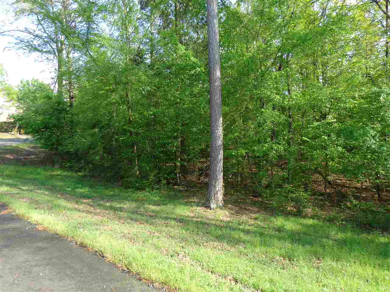 Seller will pay 12 months of Club Dues for buyer. Large building lot across street from golf course and beautiful homes. Private club, great golf, tennis, pool, and lots of social activities. Build a home or just enjoy ownership privileges. Tax assessor market value $7000