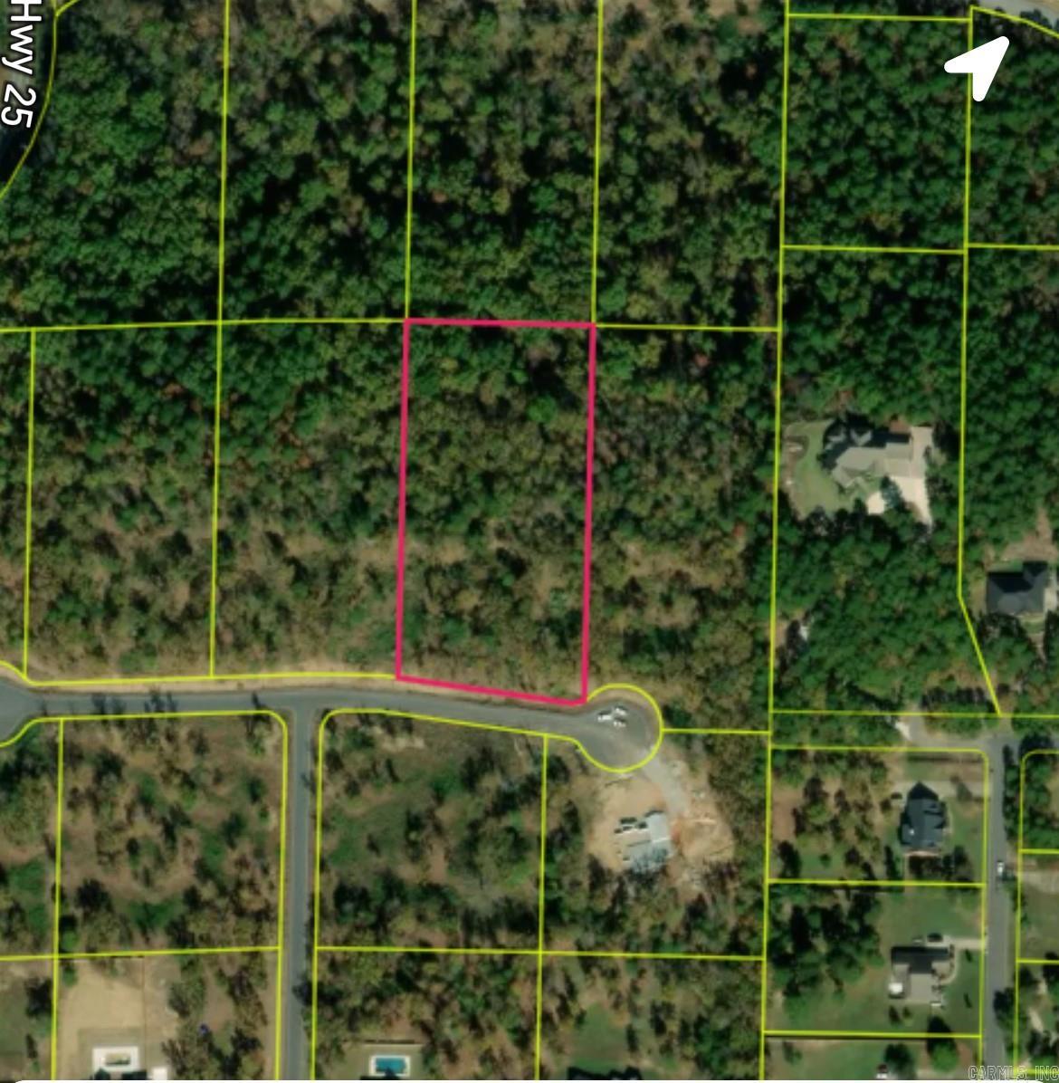 3 acre lot in the North Wood Estate subdivision located on a cul de sac road. Beautiful estate size lots just inside the city limits! This gate community features minimum of 3 acre lots with a 2800sf building minimum. Conway Corp utilities, septic required. Natural Gas. Use any builder. Covenants and Restrictions. Must have gate code to enter for showings. See MLS # 240431544 or 240431546 for other available lots.