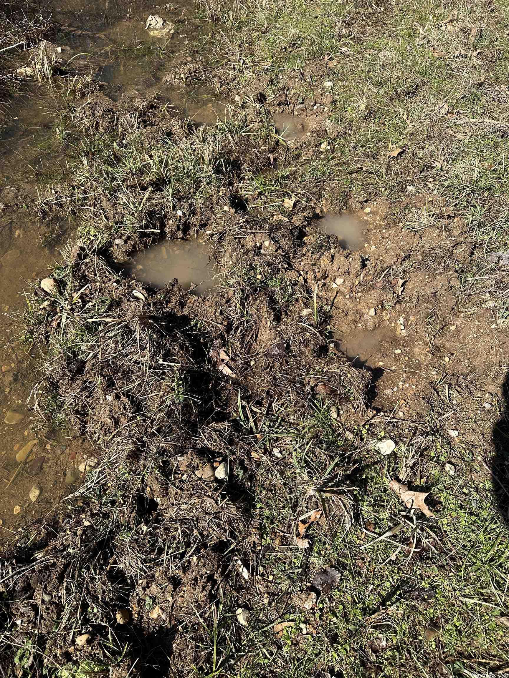 Metes & Bounds - Land