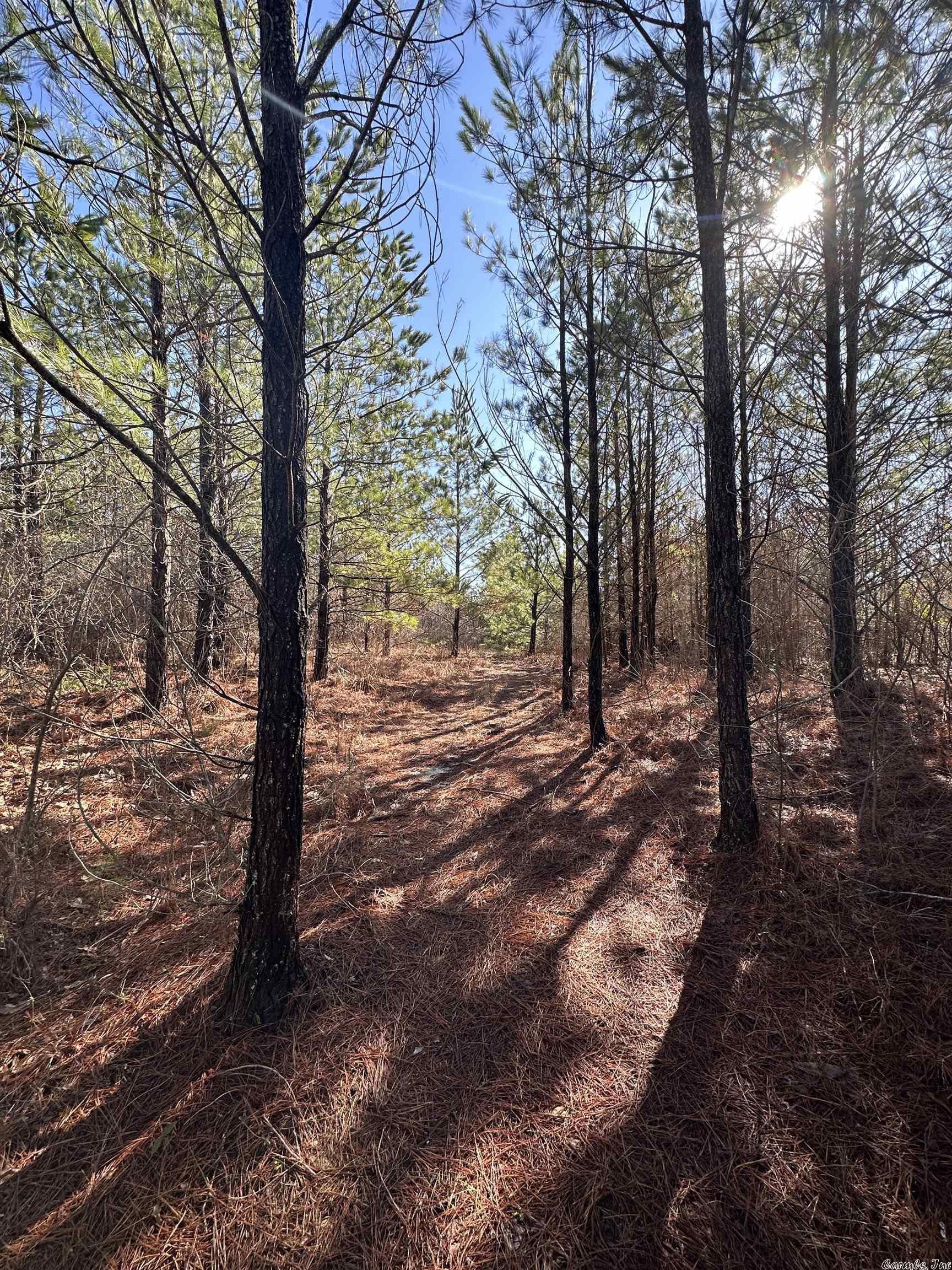 Metes & Bounds - Land