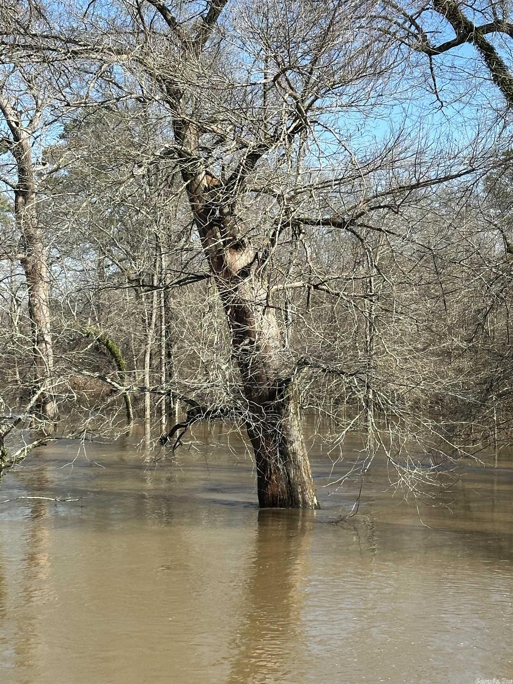 Metes & Bounds - Land