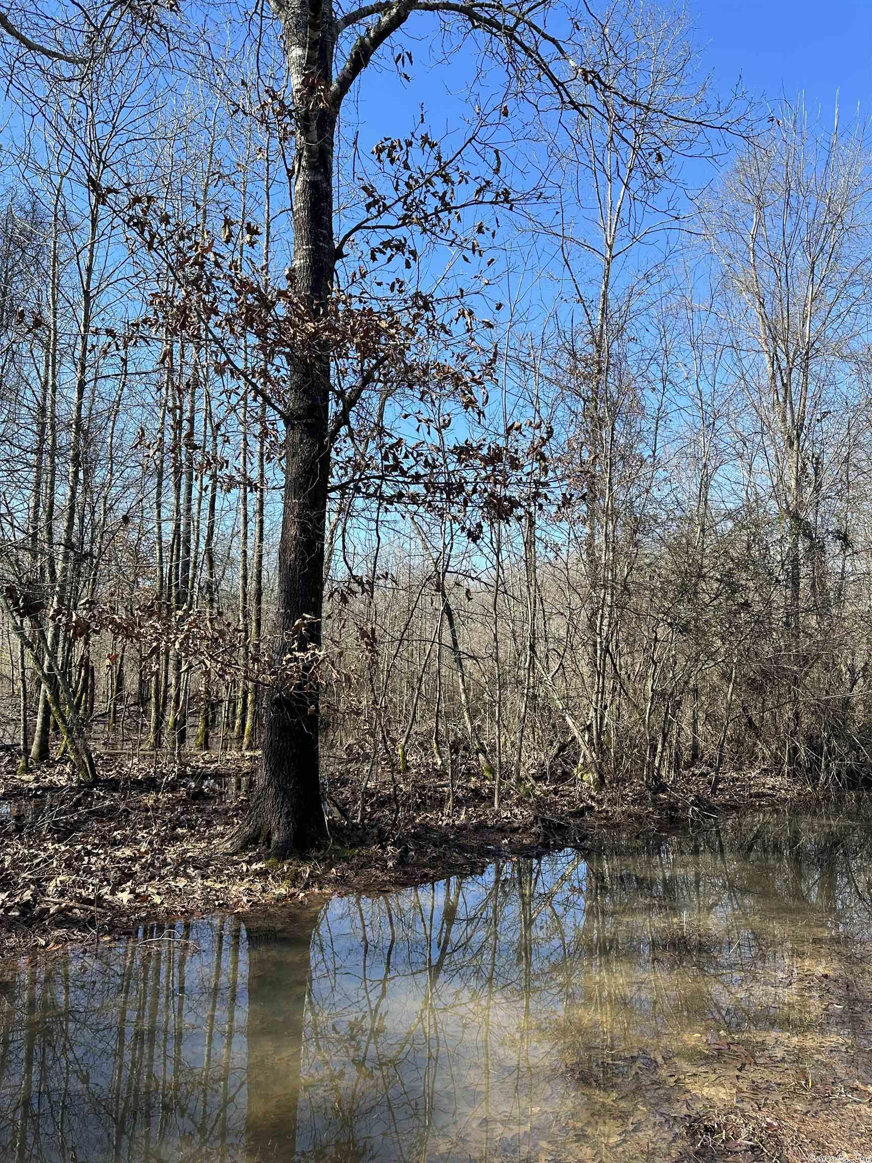 Established Hunting Property with Deer, Turkey, Ducks and Hogs Large Recreational property close to Texarkana, Shreveport, and Dallas! This tract of land is 1230 +\- acres of recreational and timberland.  The property has been professionally managed and includes hardwood bottoms that are abundant with wildlife. Terre Rouge Creek flows through the property and provides excellent habitat for ducks, deer and hogs. This acreage is a sportsman's dream with plenty of cover, food and water for animals. Trails allow access to majority of the property with a side by side or truck. Shooting lanes and food plots are already established in several areas of the property. There are approximately 150 acres of planted pine and the remaining acreage in natural stands and hardwood bottoms. This property has frontage on Nevada County Road 23 and 41 with utilities avaiable at th road.