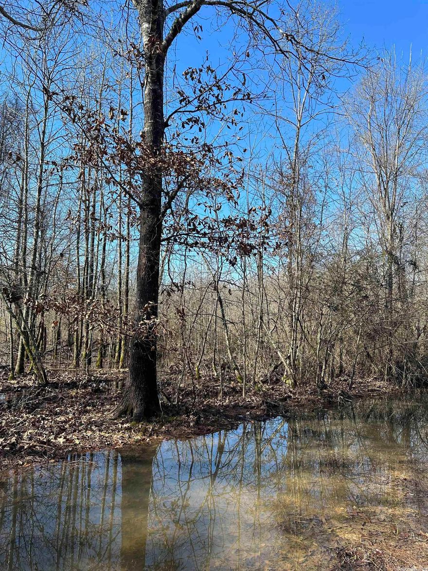 Established Hunting Property with Deer, Turkey, Ducks and Hogs  Large Recreational property close to Texarkana, Shreveport, and Dallas!   This tract of land is 1230 +\- acres of recreational and timberland.  The property has been professionally managed and includes hardwood bottoms that are abundant with wildlife. Terre Rouge Creek flows through the property and provides excellent habitat for ducks, deer and hogs. This acreage is a sportsman's dream with plenty of cover, food and water for animals. Trails allow access to majority of the property with a side by side or truck. Shooting lanes and food plots are already established in several areas of the property. There are approximately 150 acres of planted pine and the remaining acreage in natural stands and hardwood bottoms. This property has frontage on Nevada County Road 23 and 41 with utilities avaiable at th road.