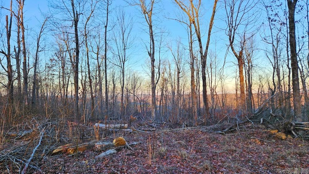 This stunning timber-covered property sits atop a ridge, offering breathtaking mountain views, prime home sites, and excellent hunting spots. Located less than ¼ mile from the highway, it provides easy access to attractions like the Ozark National Forest, Buffalo National River, and Greers Ferry Lake. It’s also under a mile from the Middle Fork Little Red River, known for freshwater recreation and smallmouth bass fishing. The land boasts a thriving population of deer, turkey, and black bear, making it perfect for hunting or a secluded getaway. With electric and rural water available along a well-maintained gravel road, it’s ideal for a vacation retreat, hunting cabin, or dream home. The hardwood timber, mostly white oak, was recently thinned for optimal growth and enhanced wildlife habitat. Some minor clearing could create an even more dramatic view over the Boston Mountain Range. Don’t miss out on this exceptional mountaintop property—additional acreage is available!