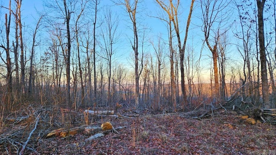This stunning timber-covered property sits atop a ridge, offering breathtaking mountain views, prime home sites, and excellent hunting spots. Located less than ¼ mile from the highway, it provides easy access to attractions like the Ozark National Forest, Buffalo National River, and Greers Ferry Lake. It’s also under a mile from the Middle Fork Little Red River, known for freshwater recreation and smallmouth bass fishing. The land boasts a thriving population of deer, turkey, and black bear, making it perfect for hunting or a secluded getaway. With electric and rural water available along a well-maintained gravel road, it’s ideal for a vacation retreat, hunting cabin, or dream home. The hardwood timber, mostly white oak, was recently thinned for optimal growth and enhanced wildlife habitat. Some minor clearing could create an even more dramatic view over the Boston Mountain Range. Don’t miss out on this exceptional mountaintop property—additional acreage is available!