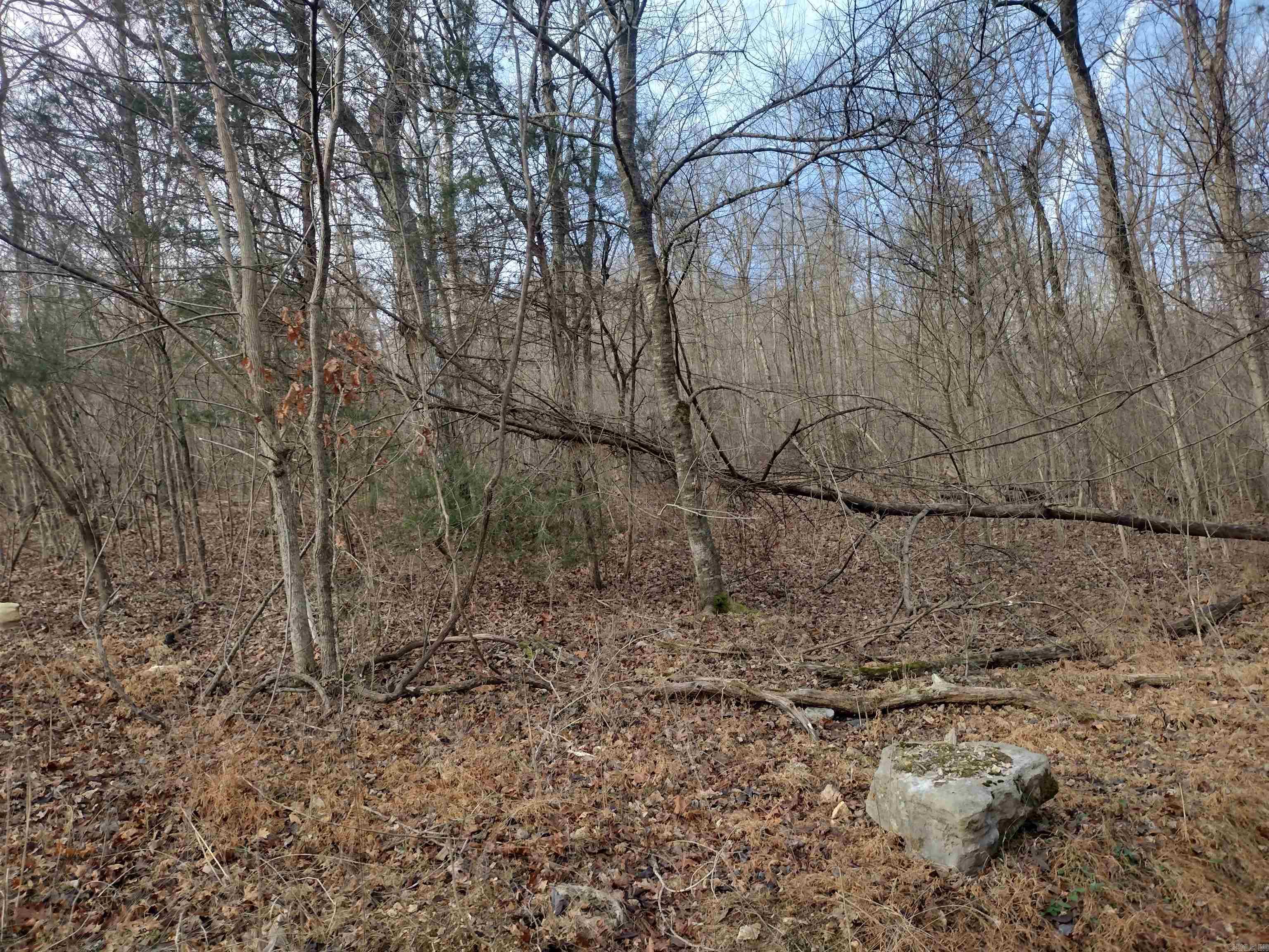 Metes & Bounds - Land