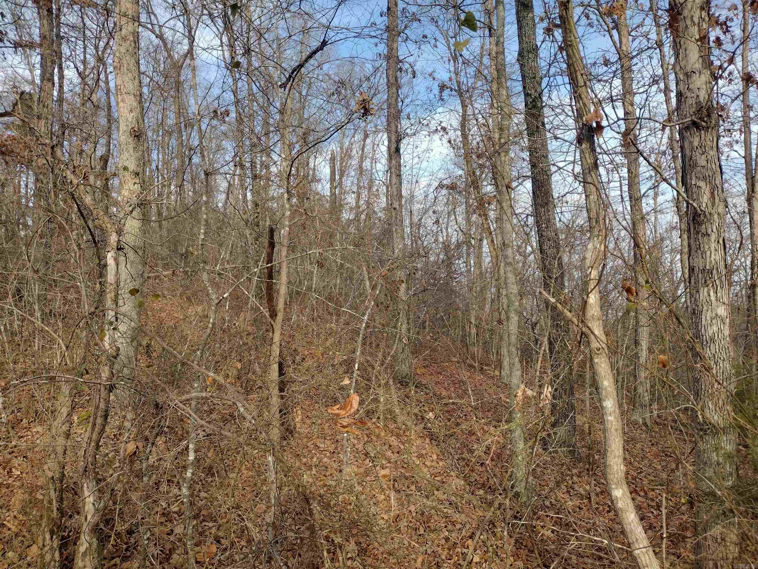 Metes & Bounds - Land