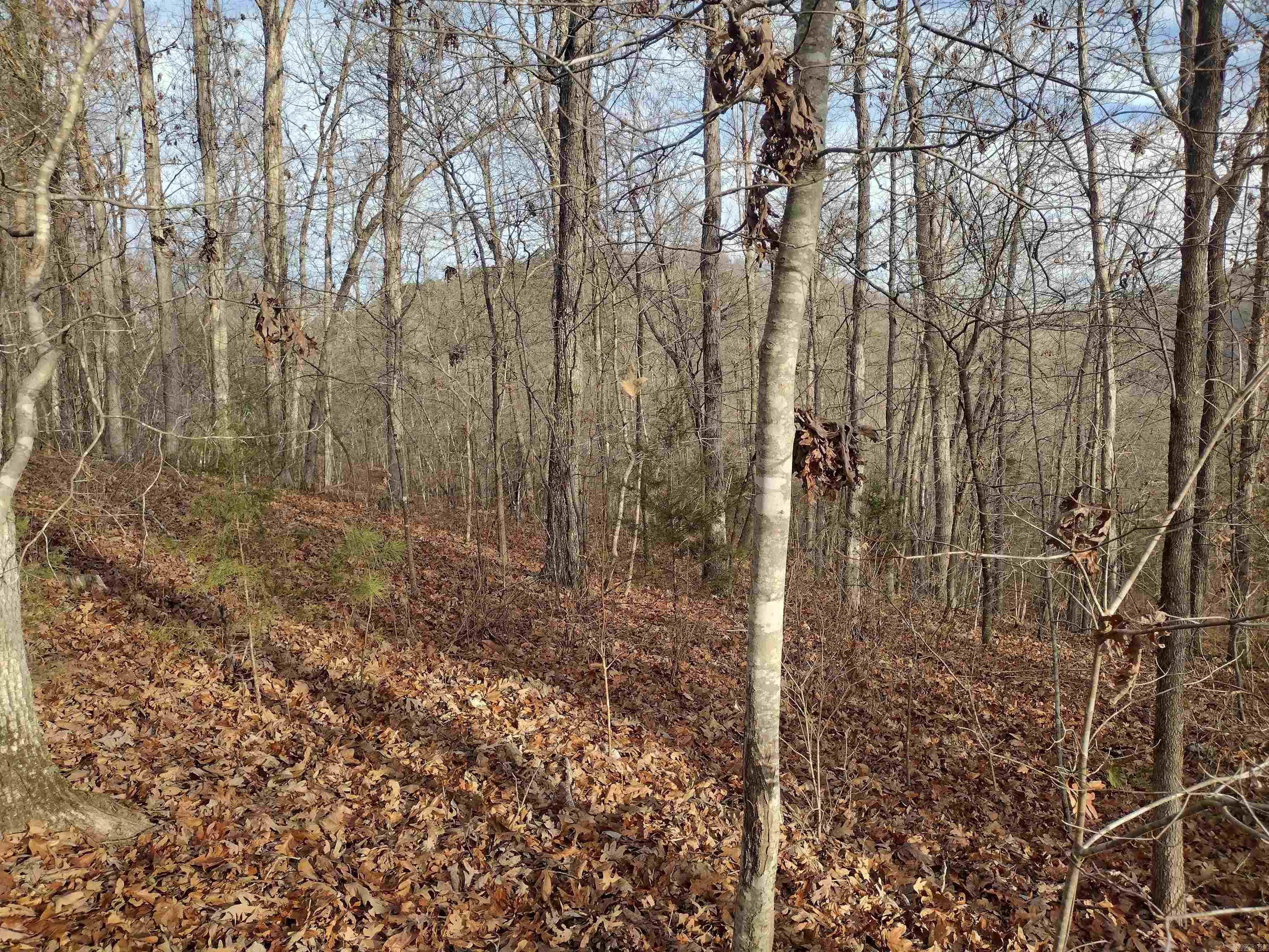 Metes & Bounds - Land