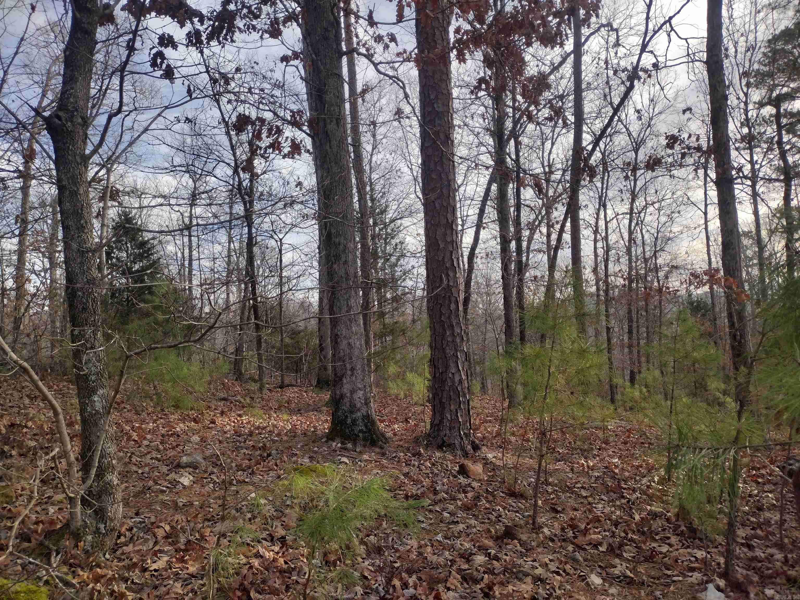 Metes & Bounds - Land