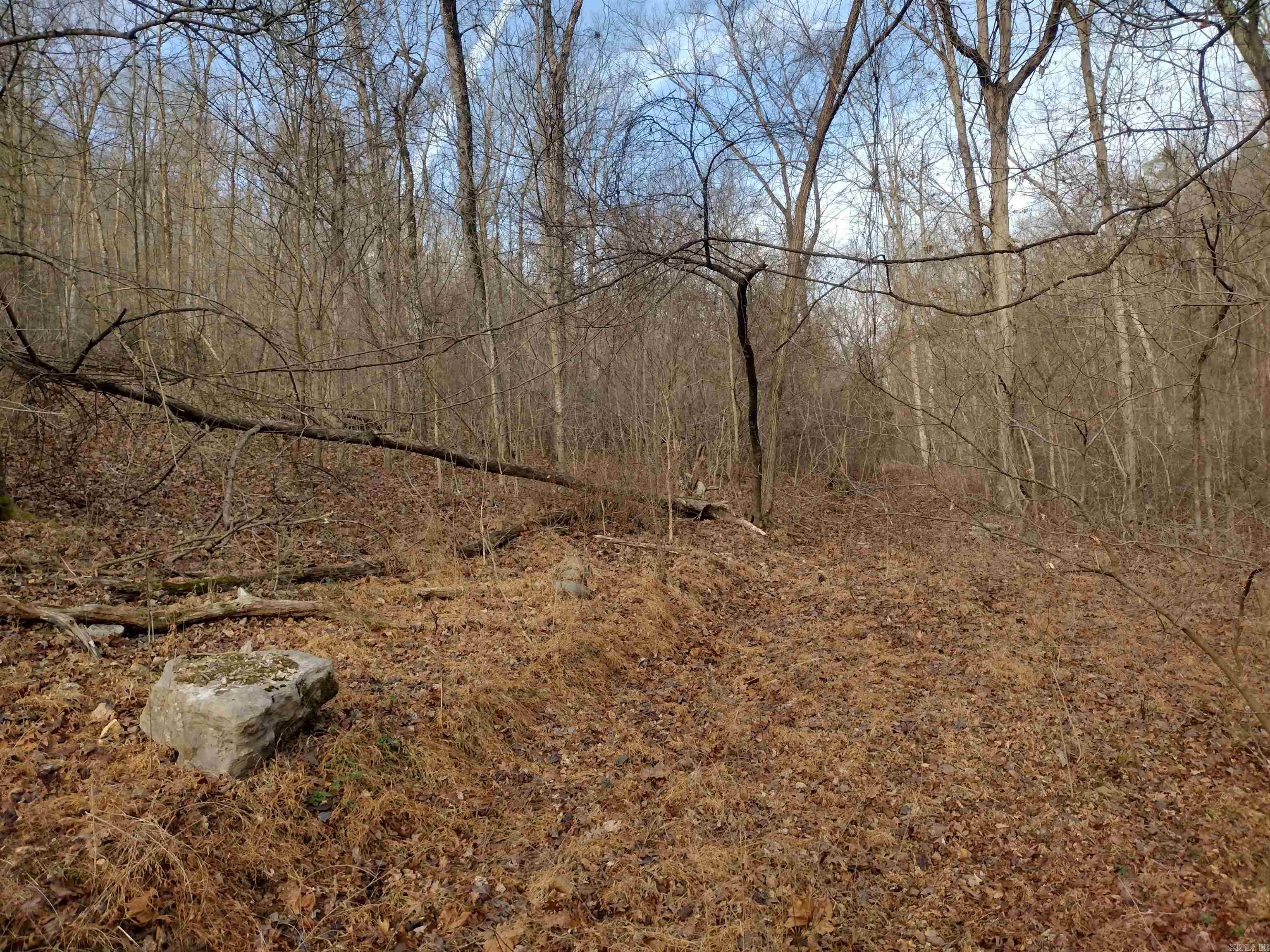 Metes & Bounds - Land