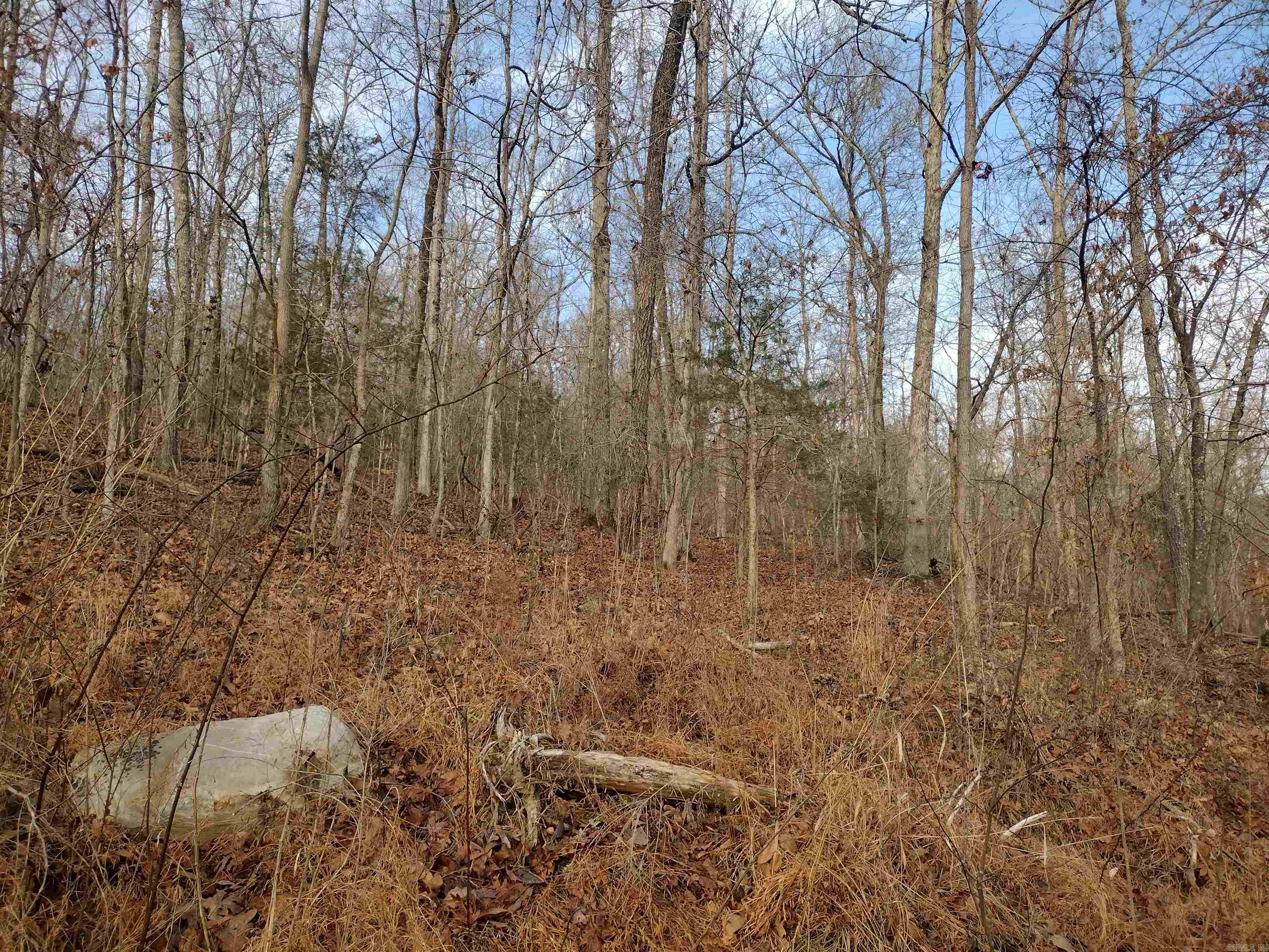 Metes & Bounds - Land