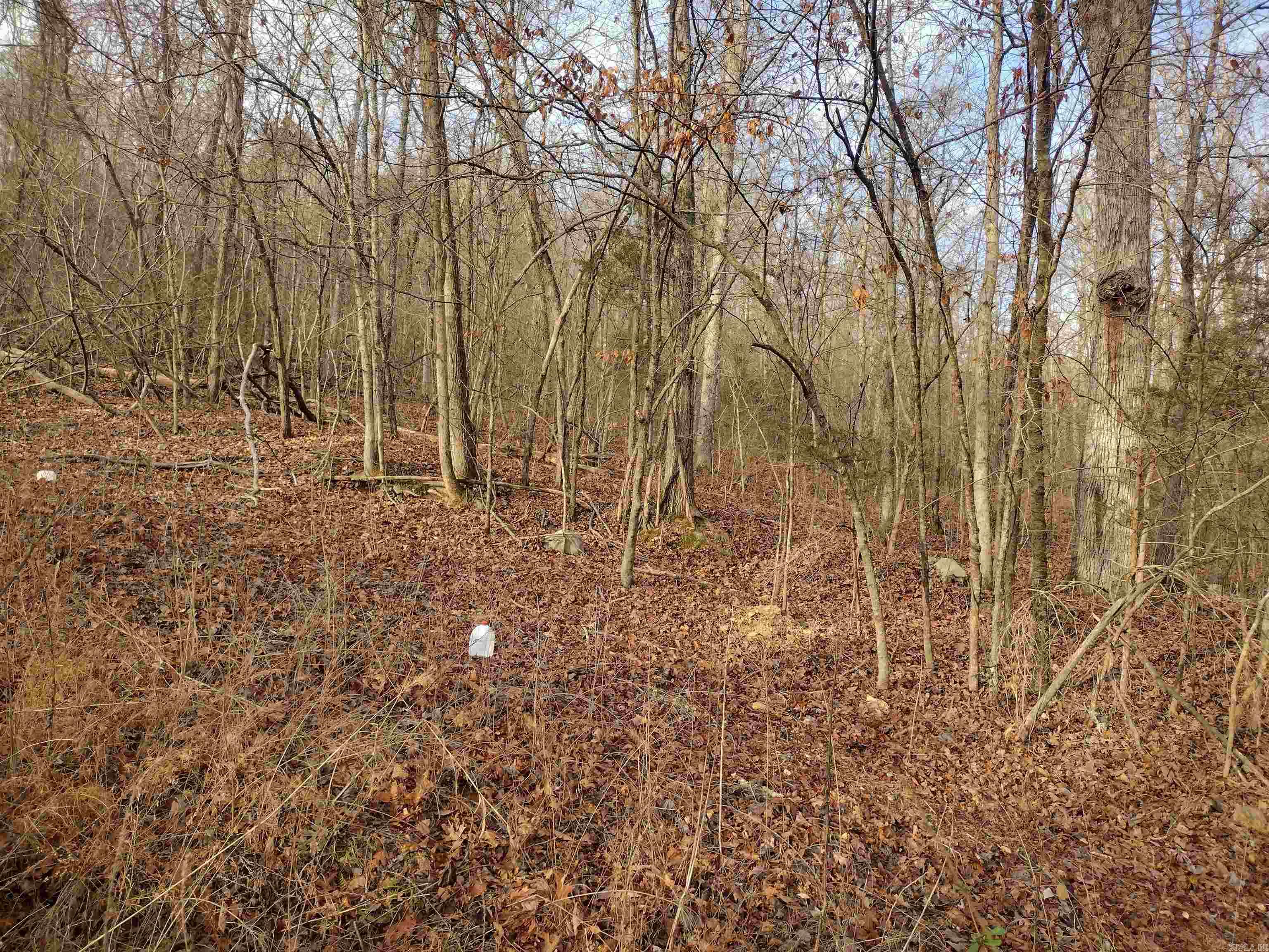 Metes & Bounds - Land