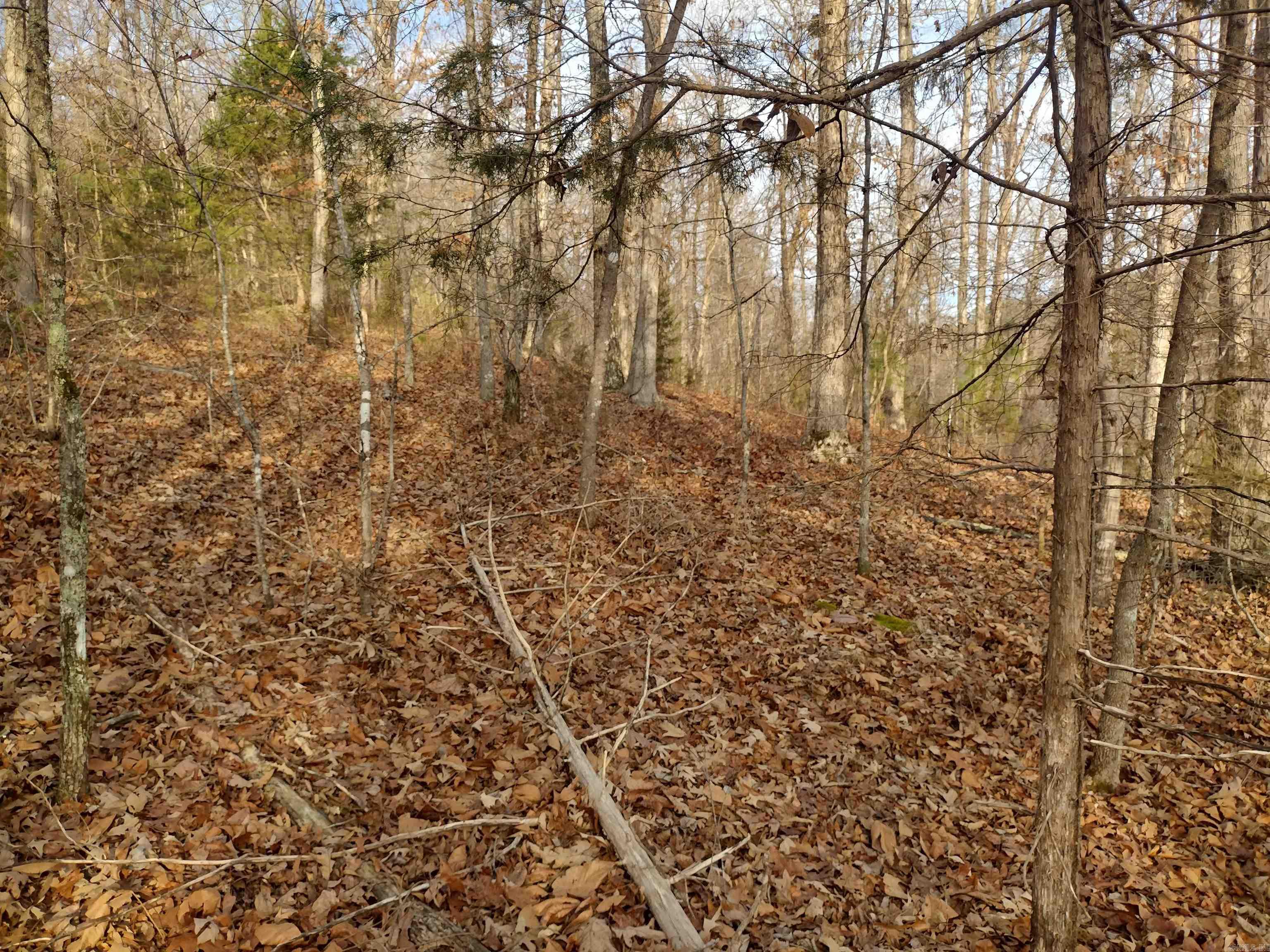 Metes & Bounds - Land