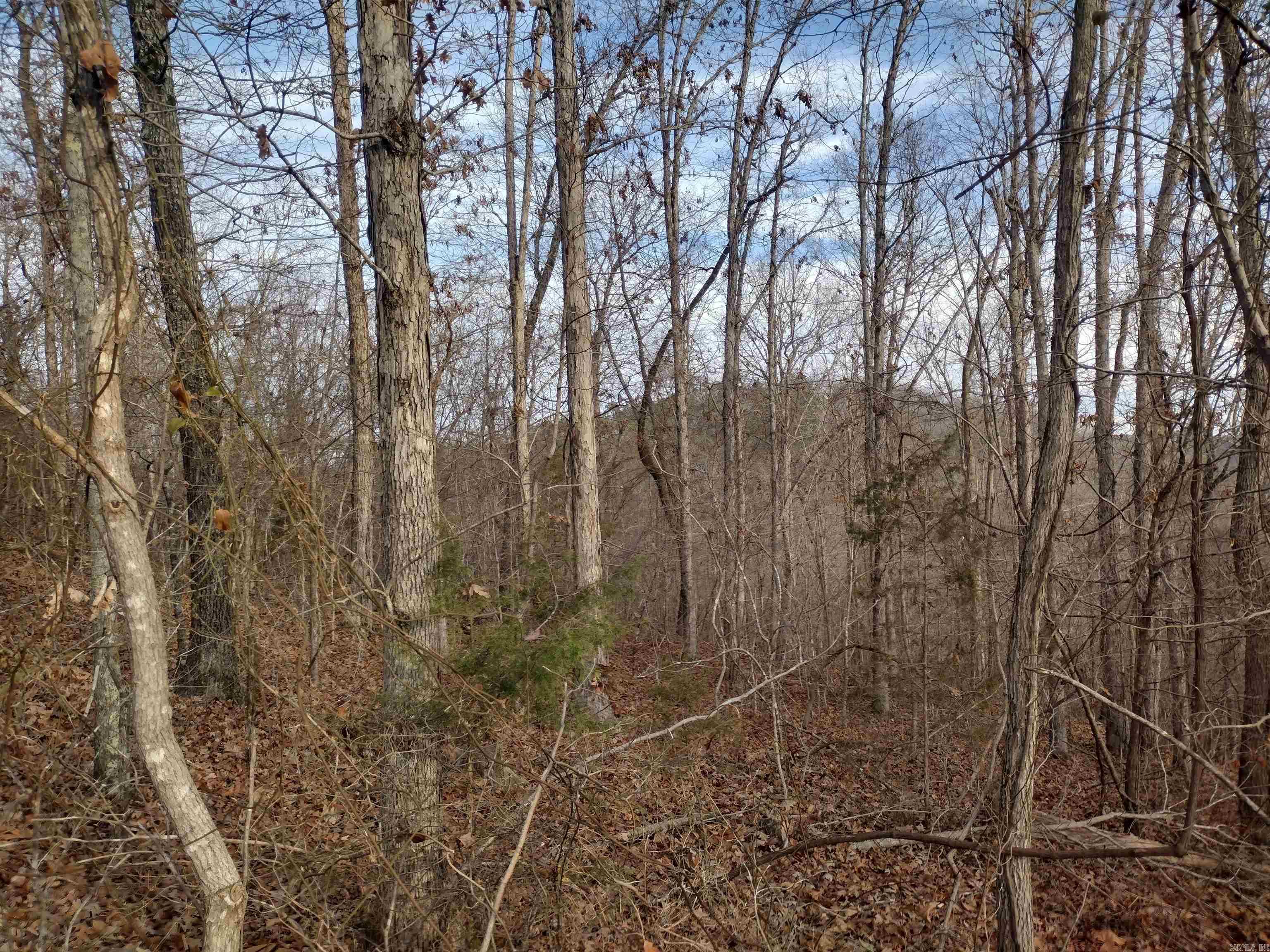 Metes & Bounds - Land