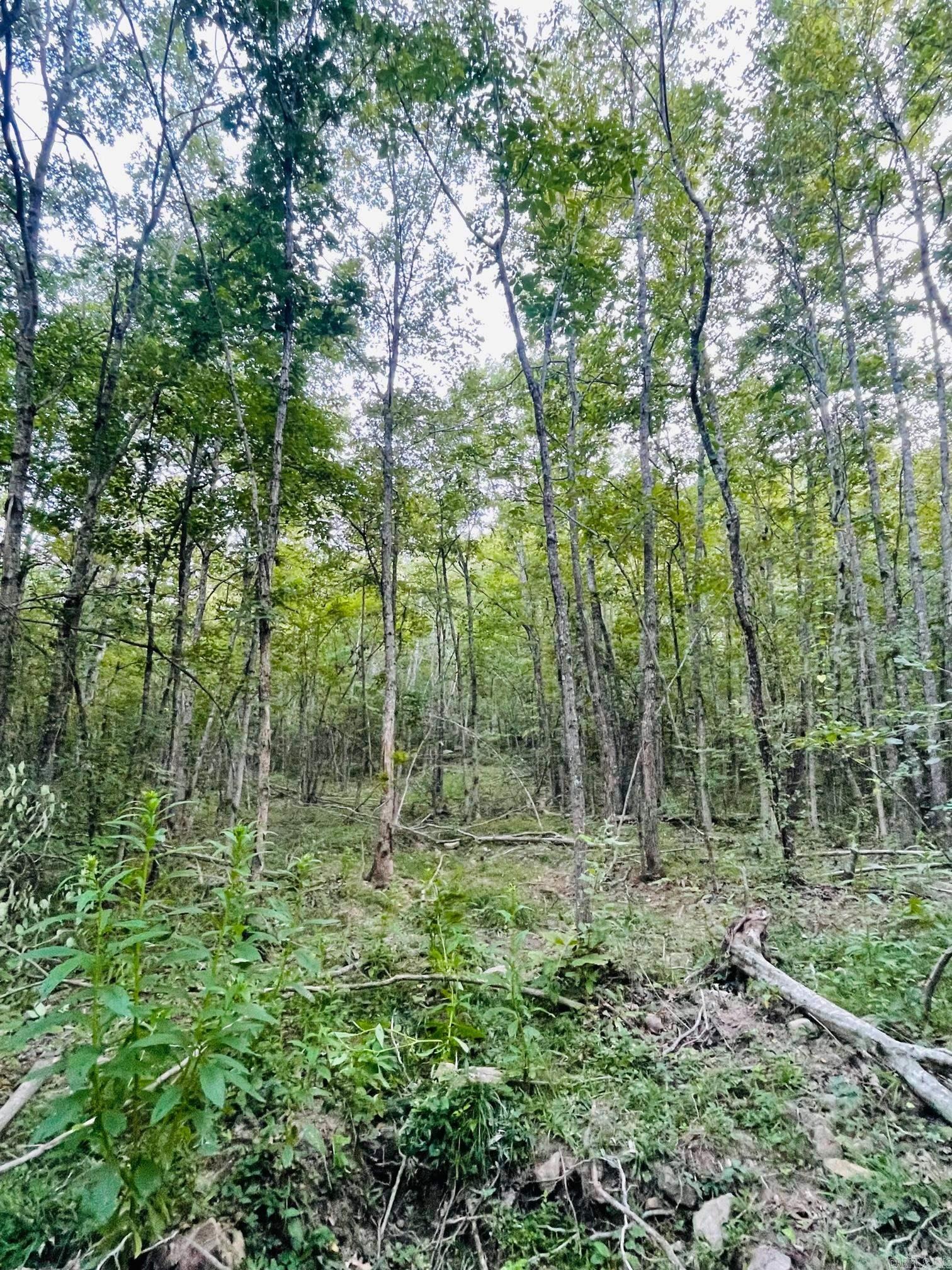 Not in Subdivision - Land