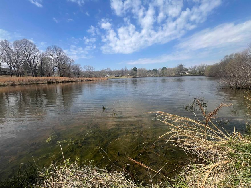 Rare opportunity to own 17± acres featuring a 9± acre lake and 8± acres of timbered land, all within city limits! Enjoy beautiful water views, privacy, and a peaceful setting with the convenience of town nearby. With mature timber and a prime build site overlooking the lake, this property is perfect for your dream home or weekend retreat. Situated off of Clay Street in Piggott this property is land, water, and location all in one!