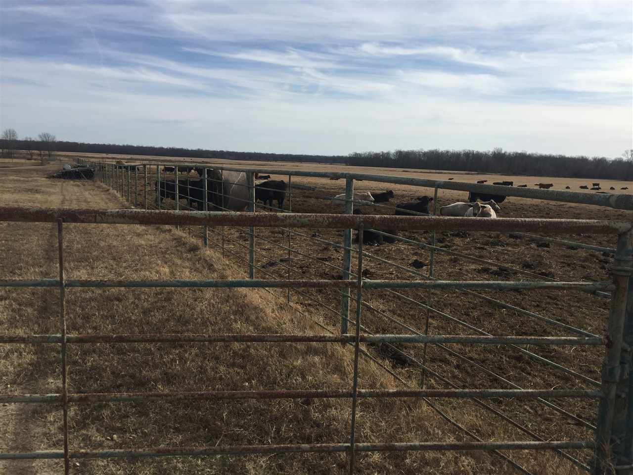 20 years ago this area we a area I served clients with my Gehl equipment through my dealership I had. I know most of the area very well.This is a old dairy farm Beautiful cattle / row crop farm. This farm has cattle guards one each gate way along with a gate to move cattle. There is two large lakes, three water wells, Lots of great grass, nice buildings, nice fences some with 8 strands of wire, concrete feed bunks with gravel and gavel roads to get you to the bunks. Has a 3 bedroom farm house and lots more.