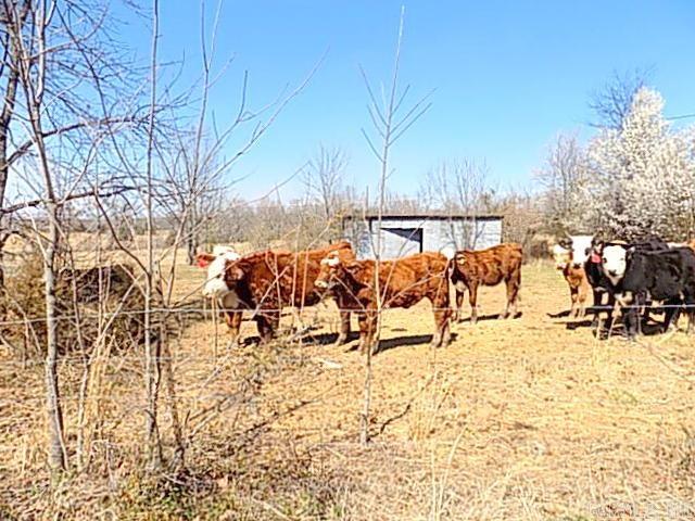 Not in Subdivision - Land