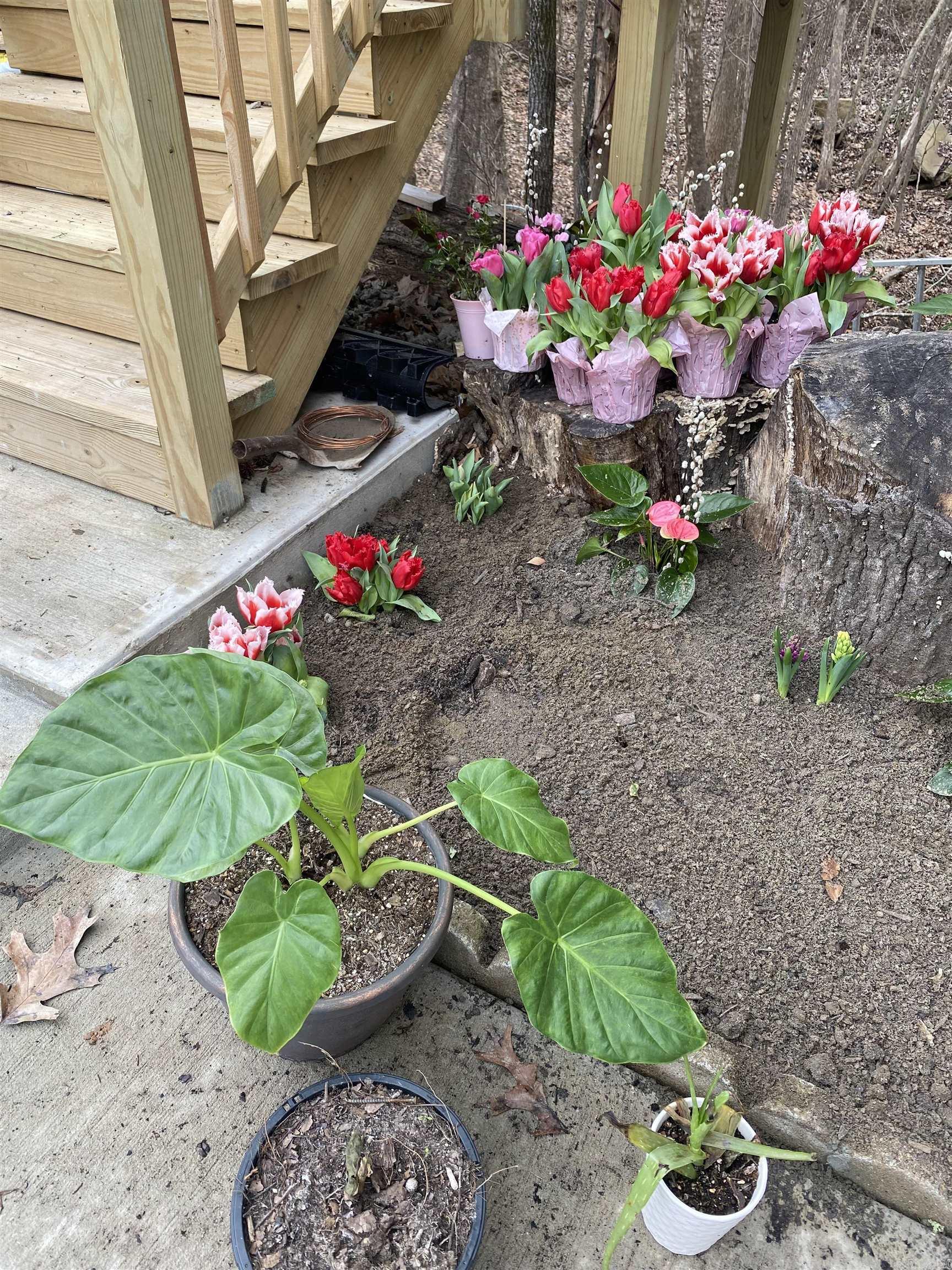 McPherson Springs Phase 2 - Residential