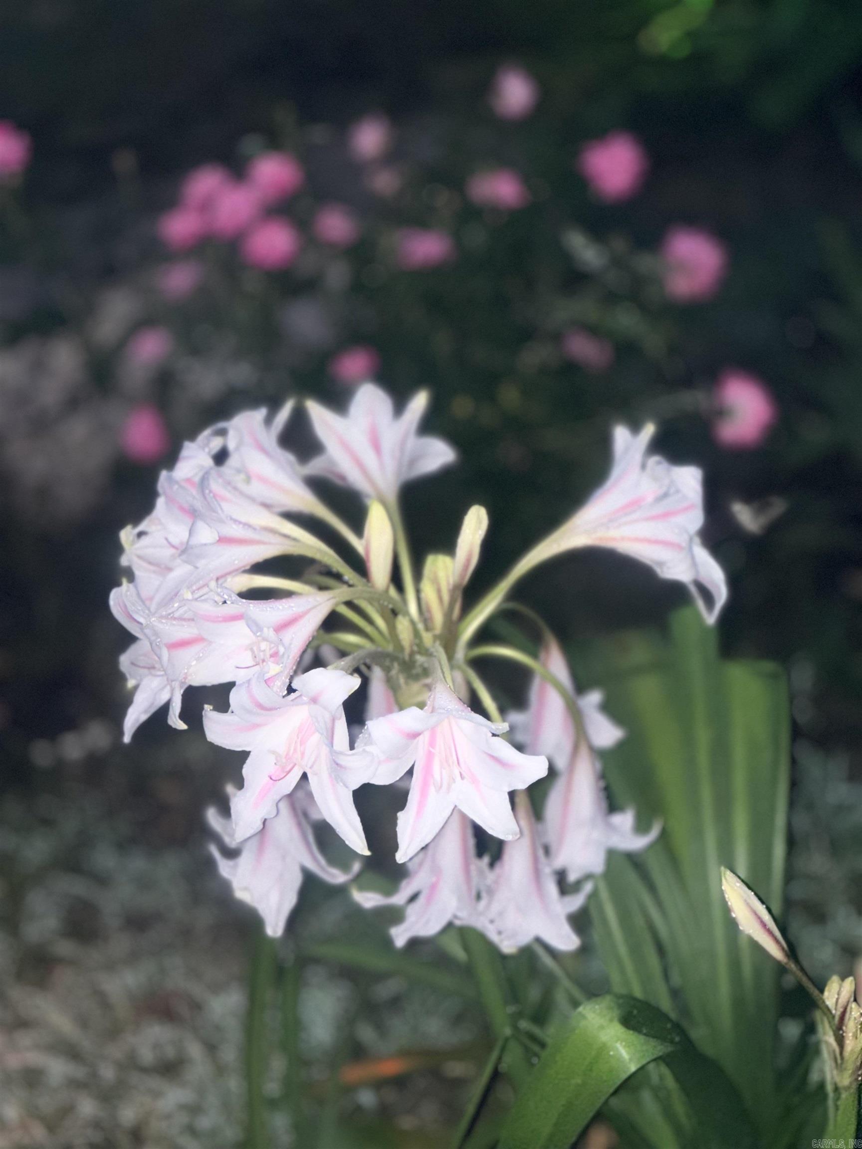 McPherson Springs Phase 2 - Residential