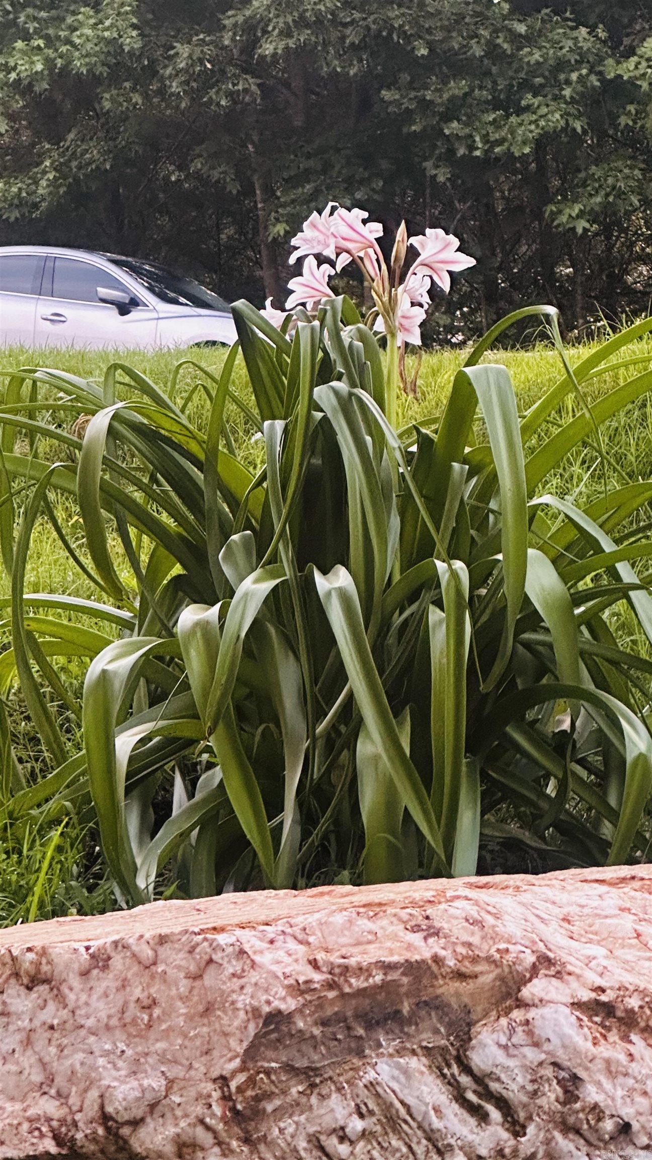 McPherson Springs Phase 2 - Residential