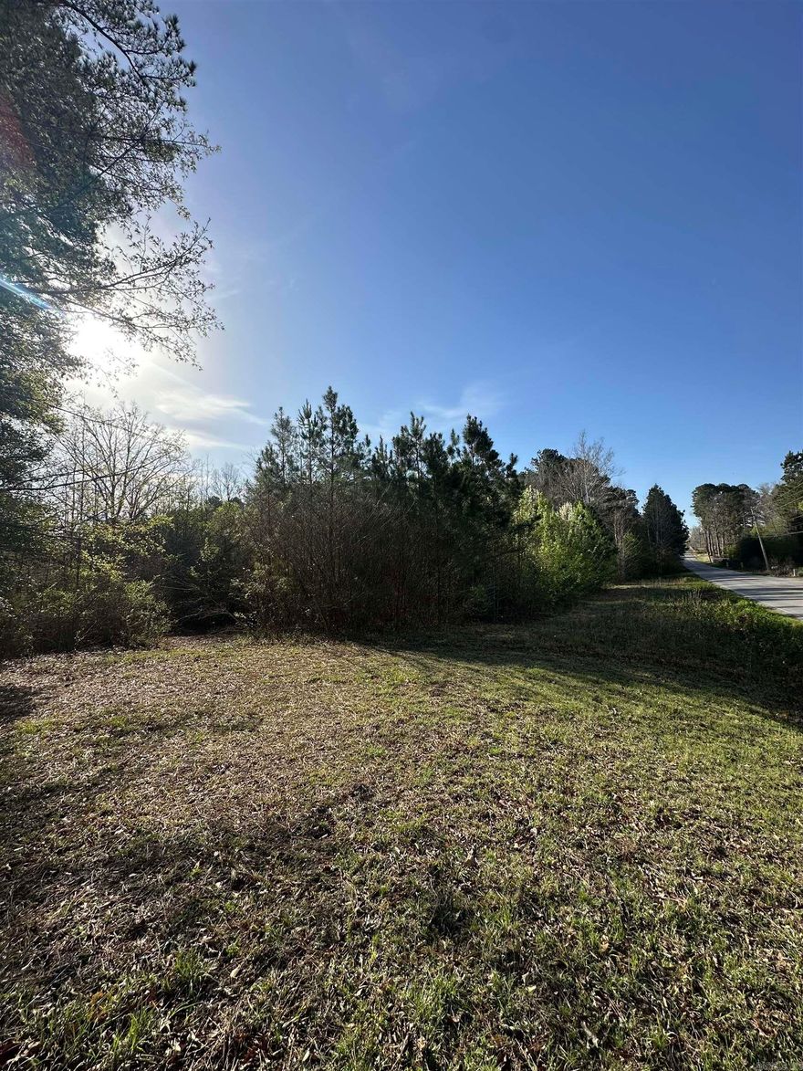 This 12.8-acre tract in Saline County with approximately 339 feet of road frontage on Vimy Ridge Road offers a wide range of possibilities for buyers looking for space, privacy, and future potential. The property is not located within a subdivision, allowing more flexibility for how the land can be used.