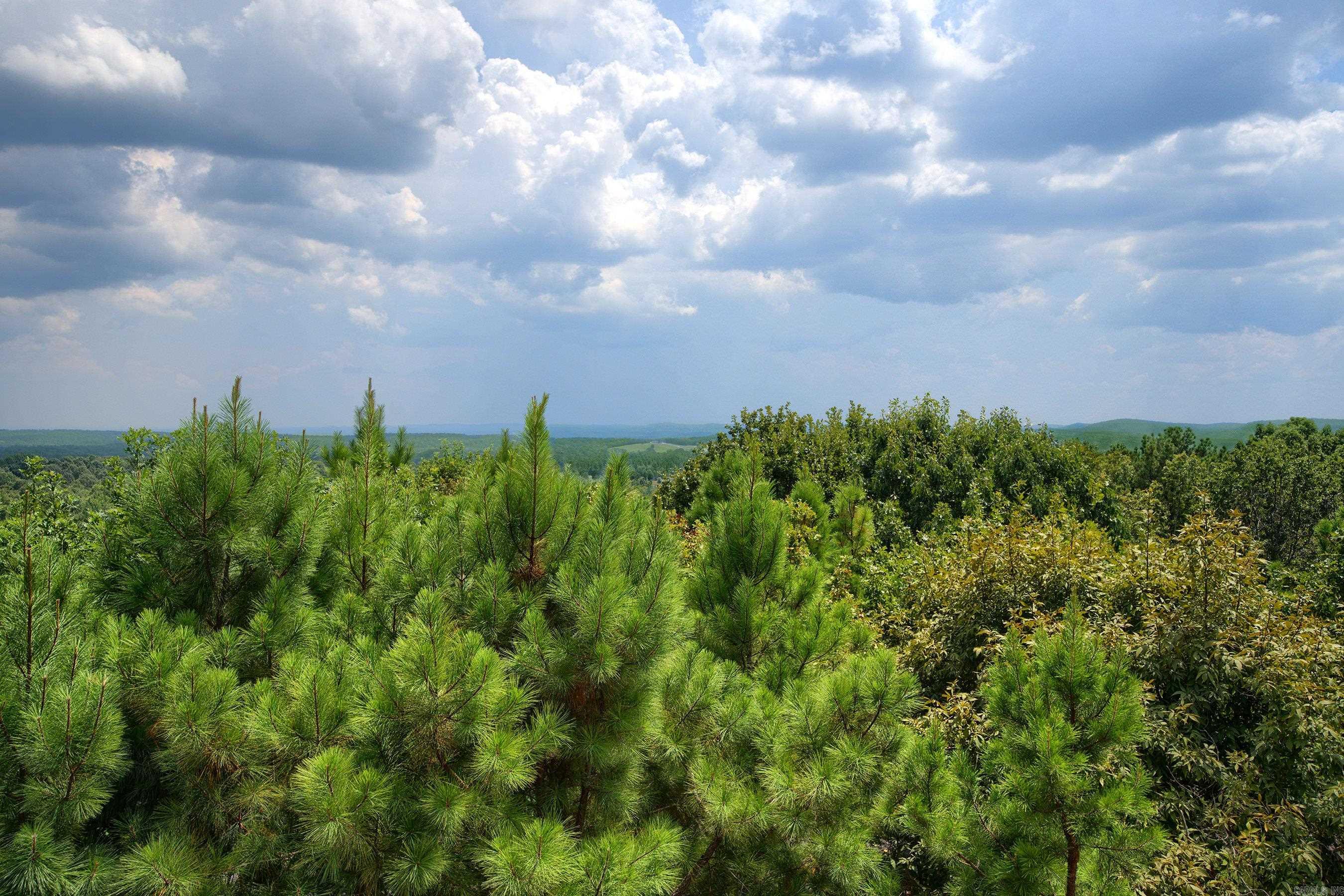 PALISANDRO - Residential