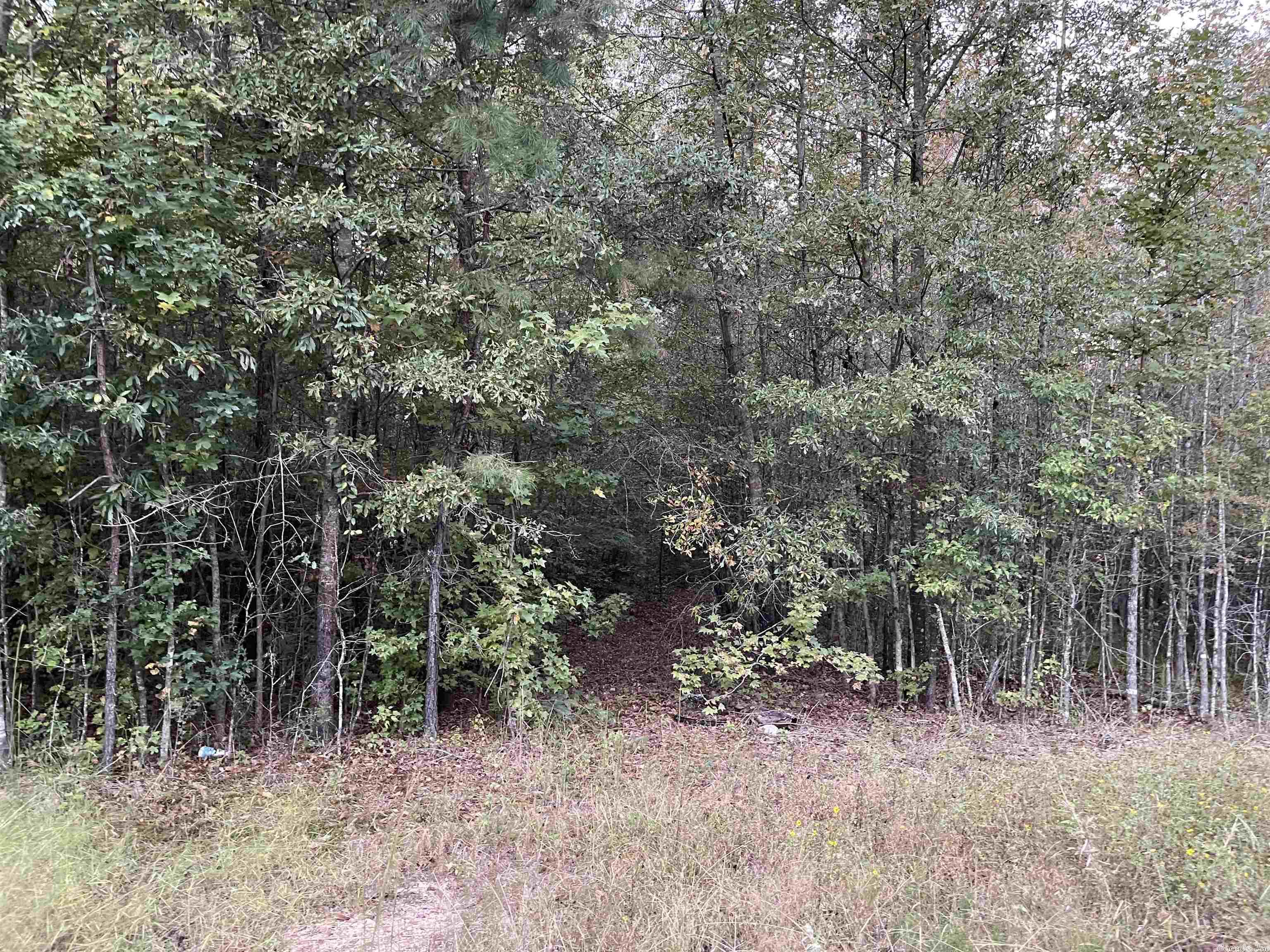 Paradise Acres - Land