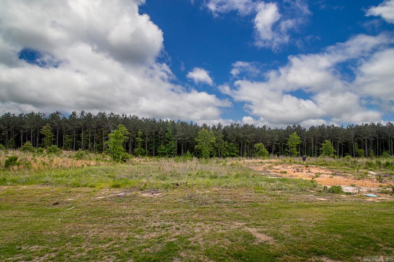 TIMBER POINT - Residential