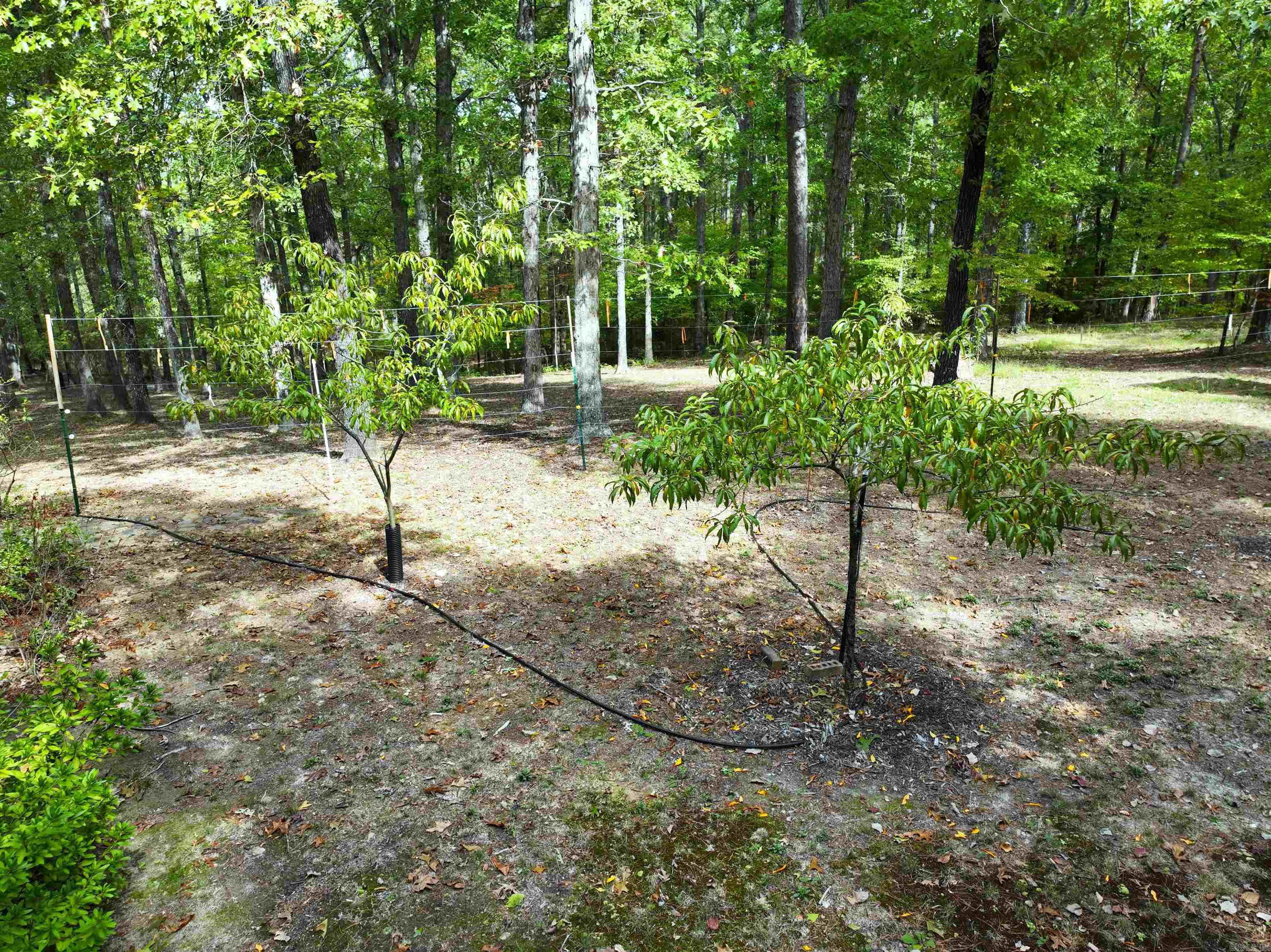 OLESON PELZ RESURVEY - Residential