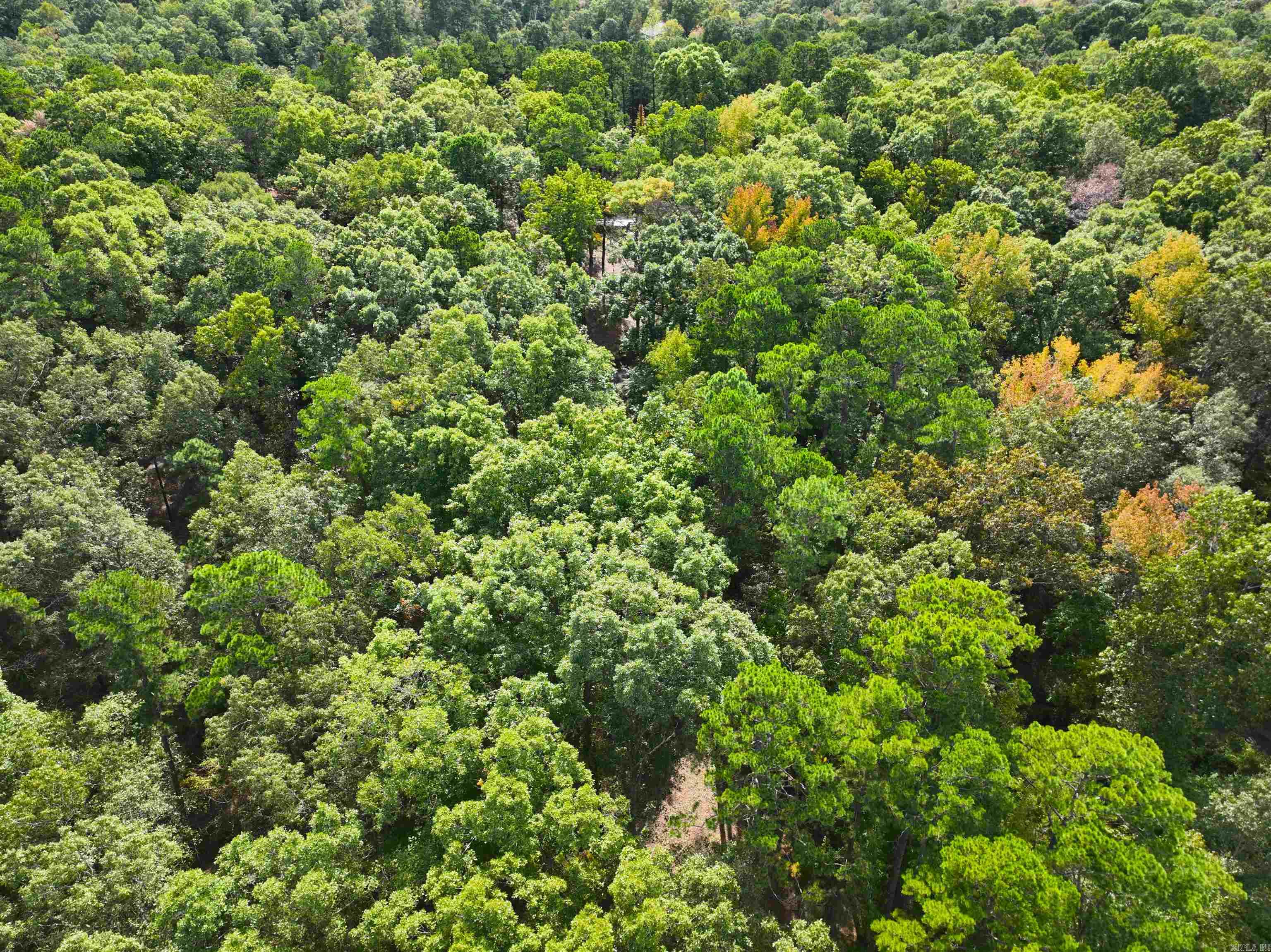 OLESON PELZ RESURVEY - Residential