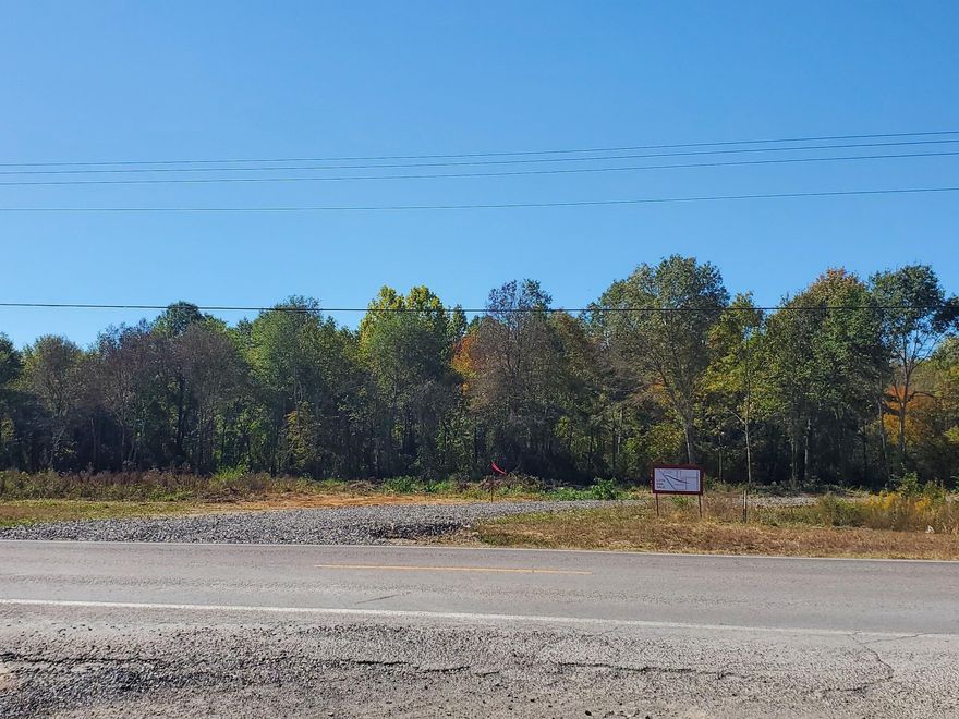 Beautiful wooded acreage.  All utilities available (city water, sewer, & electricity).  Creek on property.  Will sell a 10.51 acre tract, 9.31 acre tract, 14.11 acre tract or all.   Hwy 8 East frontage and close to the 4 wheeling trails.  Alot of potential - for your weekend home, RV park, or home and a business!