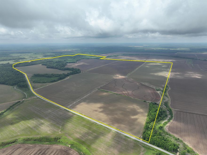 This 831-acre tract offers the perfect blend of income-producing farmland and top-tier recreational ground, conveniently located with direct frontage along Highway 138. The property features approximately 535 acres of fully irrigated tillable land supported by six wells, along with 296 acres of natural habitat, providing a rare balance of farm income and outdoor opportunity. Fertile Perry clay soils and nearly 90% leveled topography make the farm ideal for efficient rice and soybean production, backed by a strong management history and a current tenant lease option for buyers seeking immediate return.  Established deer stands, food plots, and an interior trail system offer excellent access for hunting and wildlife management.