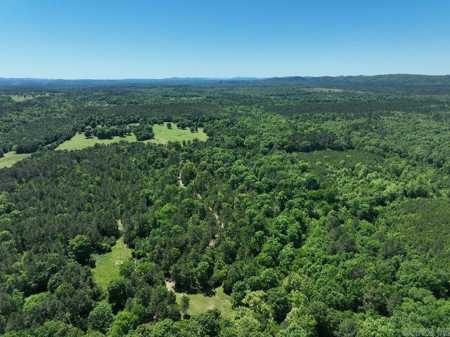 This 40-acre tract just west of Point Cedar offers a good mix of usable ground, mature timber, and year-round water. The property is heavily wooded with a healthy mix of hardwoods and pine, including several large saw log trees throughout the tract. A live creek runs from the north end of the property all the way through the south side, giving the land a natural water source and making it attractive for wildlife year-round.  There are currently around five acres of hay ground in place, and the south side of the property offers additional open ground potential. With some clearing, there could easily be 20 acres or more opened up for pasture, farming, or additional homesites. The layout of the land gives you several options depending on what you want to do with it.  The property has good road access with utilities nearby, making it easier to develop without losing the secluded feel. It’s the kind of place you can enjoy right away while still having room to improve and add value over time. Priced right and loaded with potential, this is a strong piece of ground in a hard-to-find area.