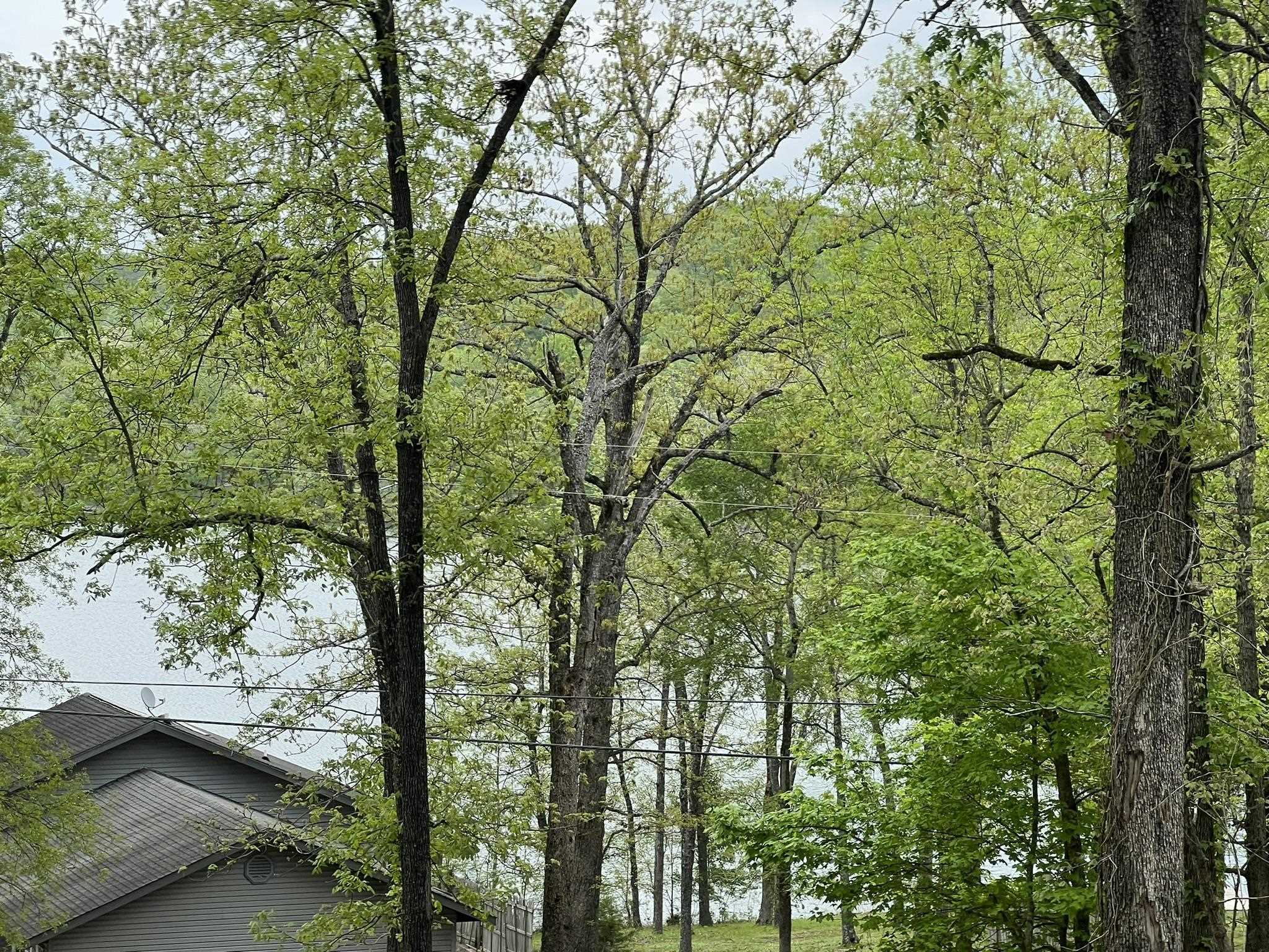 WOODLAND HILLS - Residential