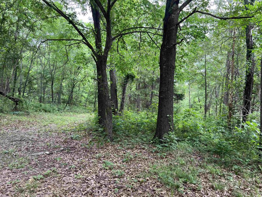 Great level location to build and only 3.5 miles to Baker Ford access point on the Buffalo National River Park. 6.48 acres m/l with no restrictions, large trees, electric available, and rural water available.