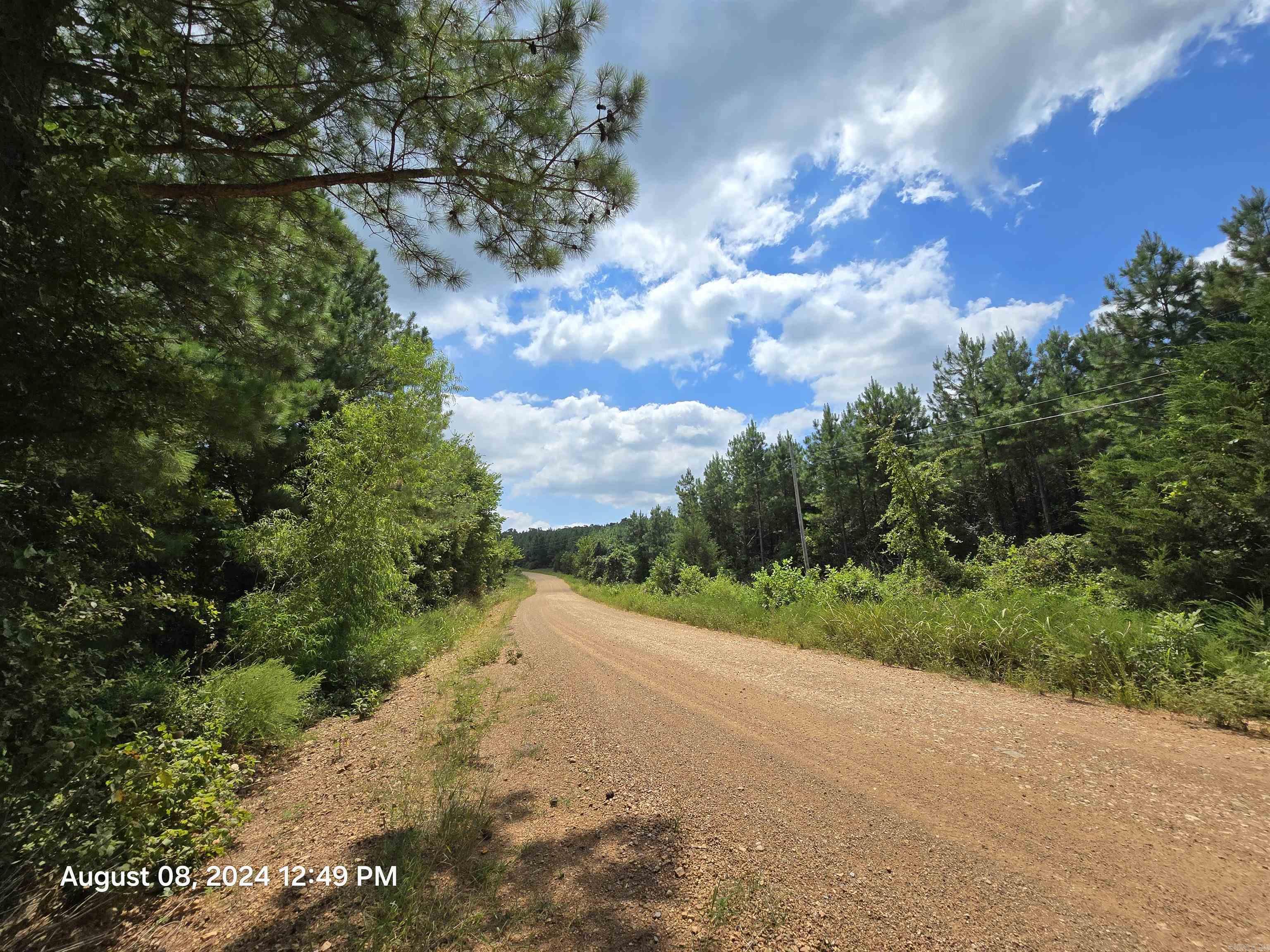 Investors get ready! Here's 280 acres of Tall Pines! approx 76 acres is ready to be thinned now, rest in a few more years then back for 2nd cutting. This land is being sold with all the harvestable timber on it, as it sits the day you see it. Has lanes in and around it, call today lets take a ride. Possible Owner financing. However sellers must approve any changes to the property. Call agent today for details on this opportunity before its to late!