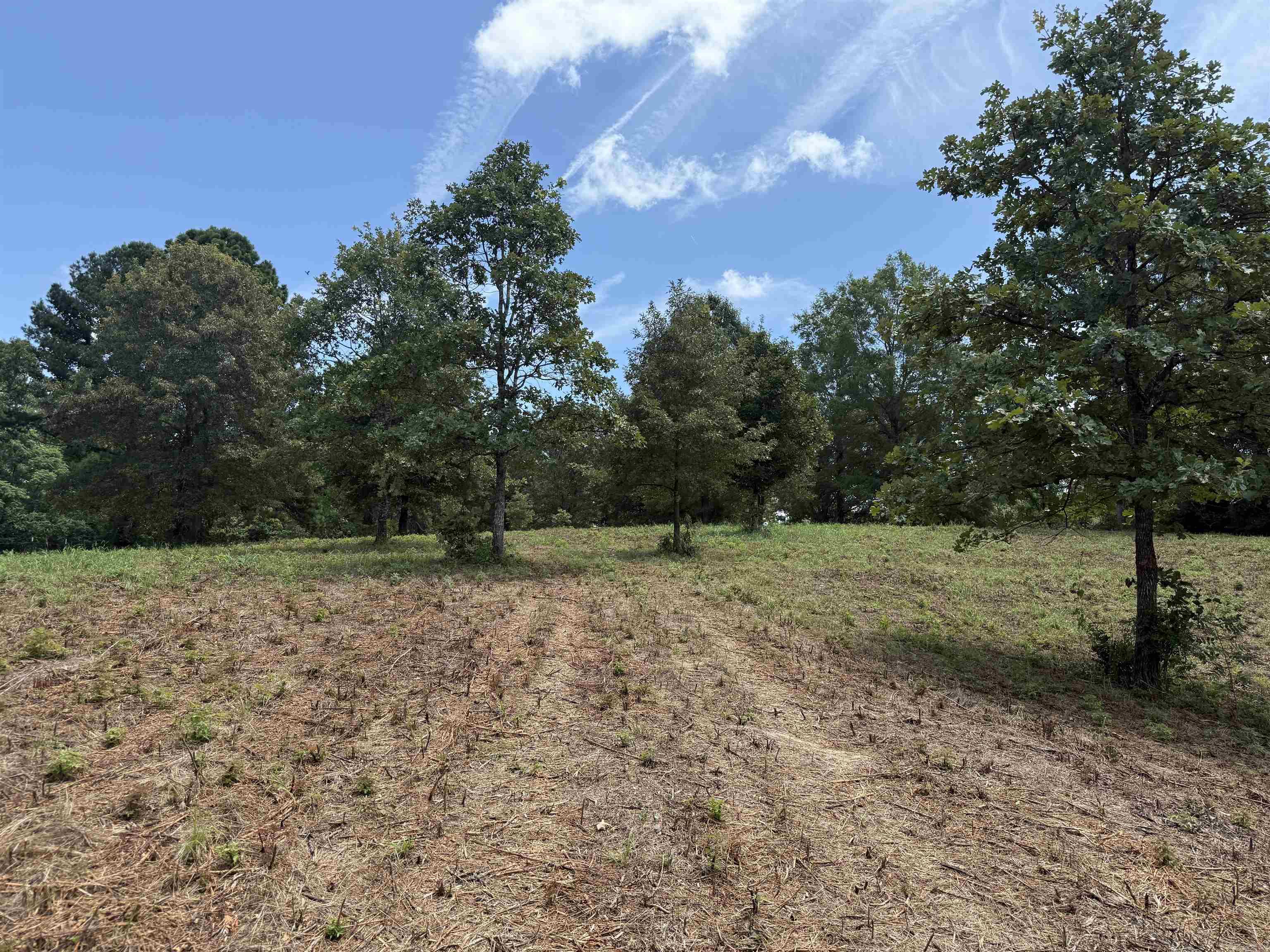 Beautiful acreage, gently rolling terrain, mostly level with some gentle slopes, ideal for building or recreation, city water and electric available at the road, septic needed, county road frontage for convenient entry. Great for that dream home, mini farm, gardening, hunting, or just a great investment for your portfolio. Just minutes from town yet tucked away for privacy. Don't miss out if you enjoy country living! Lake Hamilton Schools
