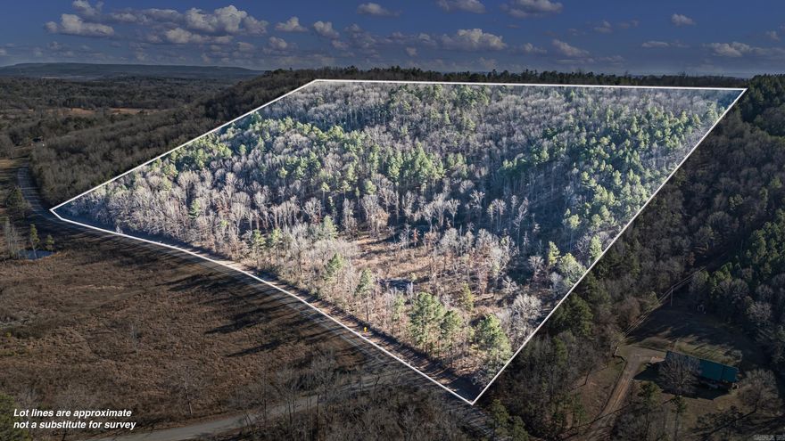 34 +/- acres off of SR 164 W is now available! This diamond in the rough has a lot of potential just waiting on a Buyer with vision to come along. This property is within minutes of the Ozark National Forest, Piney Creek, Mack's Pines, Long Pool Swimming Area, & downtown Dover, AR making it the perfect spot for a base camp. Or, take advantage of the abundant wildlife in the area and never leave the place! Enjoy the peace of rural Arkansas living without sacrificing a short trip back to the city.