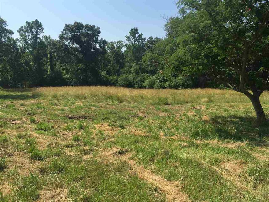 beautiful 10 acres with septic tank, city water and a well part of this land is cleared some woods ready to build your dream home. Mobil home on property will stay at no value or it can be removed by seller at buyer request only. mobile home is not safe please do not go inside.
