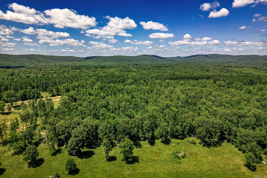 Welcome to your piece of paradise! Nestled on 11 acres of pristine land, this captivating property offers a unique opportunity to create your dream haven near the enchanting Ouachita National Forest and the picturesque Lake Degray. Imagine waking up to the soothing sounds of nature and the scent of fresh pine in the air. This expansive parcel is not just a piece of land; it's a canvas for your vision of the perfect retreat. With its ideal location, you'll be just moments away from the Ouachita National Forest, providing an immersive experience in nature right at your doorstep. Whether you envision a cozy cabin surrounded by towering trees or a modern residence with panoramic vistas, the possibilities are endless. The natural beauty of the surroundings will enhance every moment, creating a tranquil and inspiring atmosphere. For outdoor enthusiasts, this land is a recreational paradise. Explore the nearby Ouachita National Forest trails, embark on fishing adventures at Lake Degray, or simply relax in the serenity of your own expansive property. The options for outdoor activities are boundless, making this a haven for those seeking both adventure and tranquility. Seize the opportunity