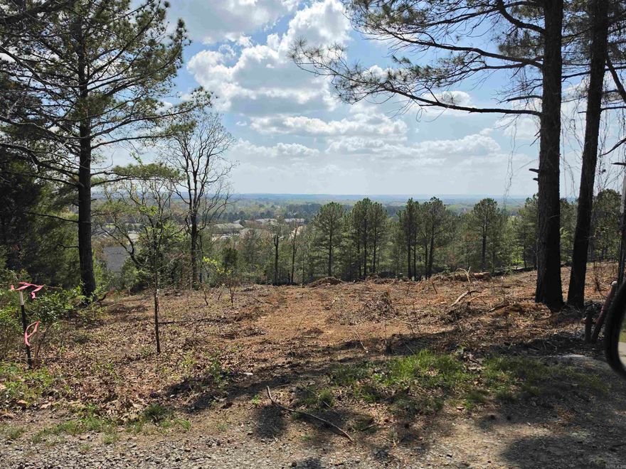 Conway View Property.  Easy Access to I-40 at Salem Street.  Property is presently wooded.  Owner is in the process of clearing the property to open up the view.  Picture of the view is from the lot next to this property.