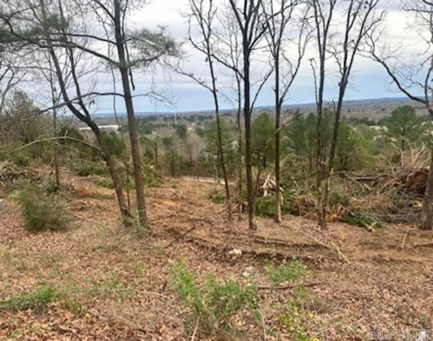 Conway View Property.  Easy Access to I-40 at Salem Street.  Property is presently wooded.  Owner is in the process of clearing the property to open up the view.  Picture of the view is from the lot next to this property.