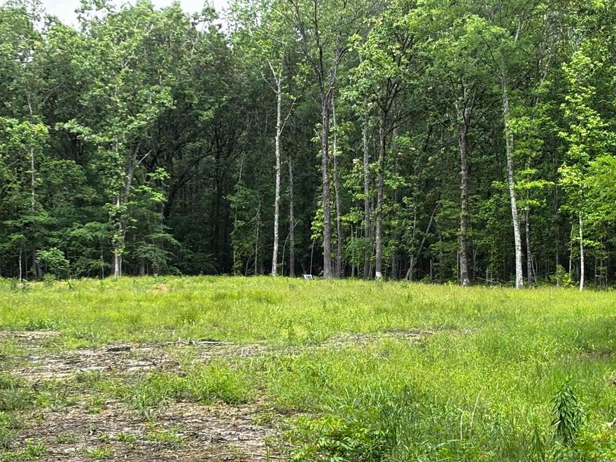 3 beautiful acres in Atkins! This 3-acre tract just minutes from Lake Atkins, the Arkansas River, and the 3,000+ acre Galla Creek Wildlife Management Area is a hunter's dream and a nature lover's haven! Whether you're looking for a private retreat or a base for outdoor adventures, this land offers the space and scenery to make it yours!